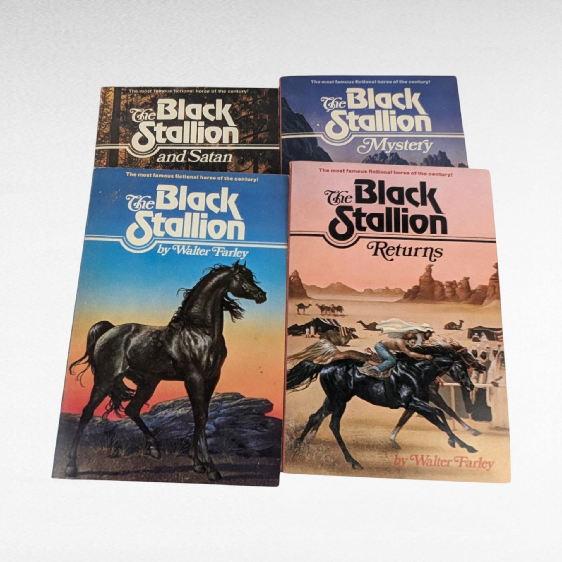 Vintage Walter Farley's Black Stallion Book Set, 1973 Edition, Children's Horse Books, Classic Literature, Gift for Young Readers