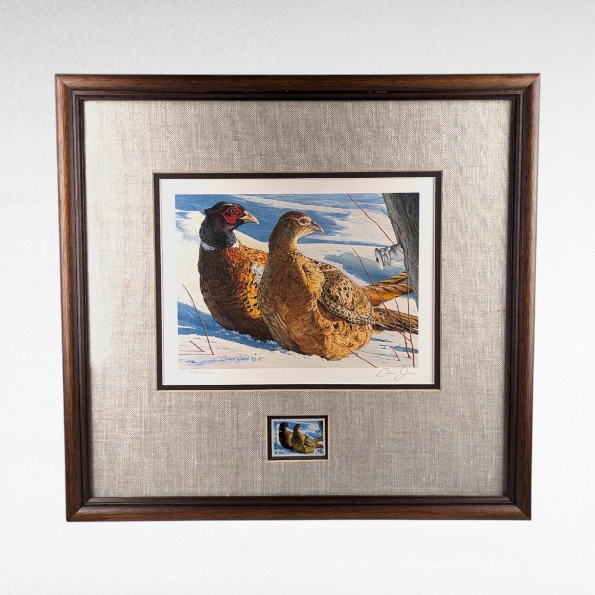 1987 Minnesota Pheasant Habitat Stamp Print, Framed & Signed Brian Jarvi, Limited Edition #1835/3500