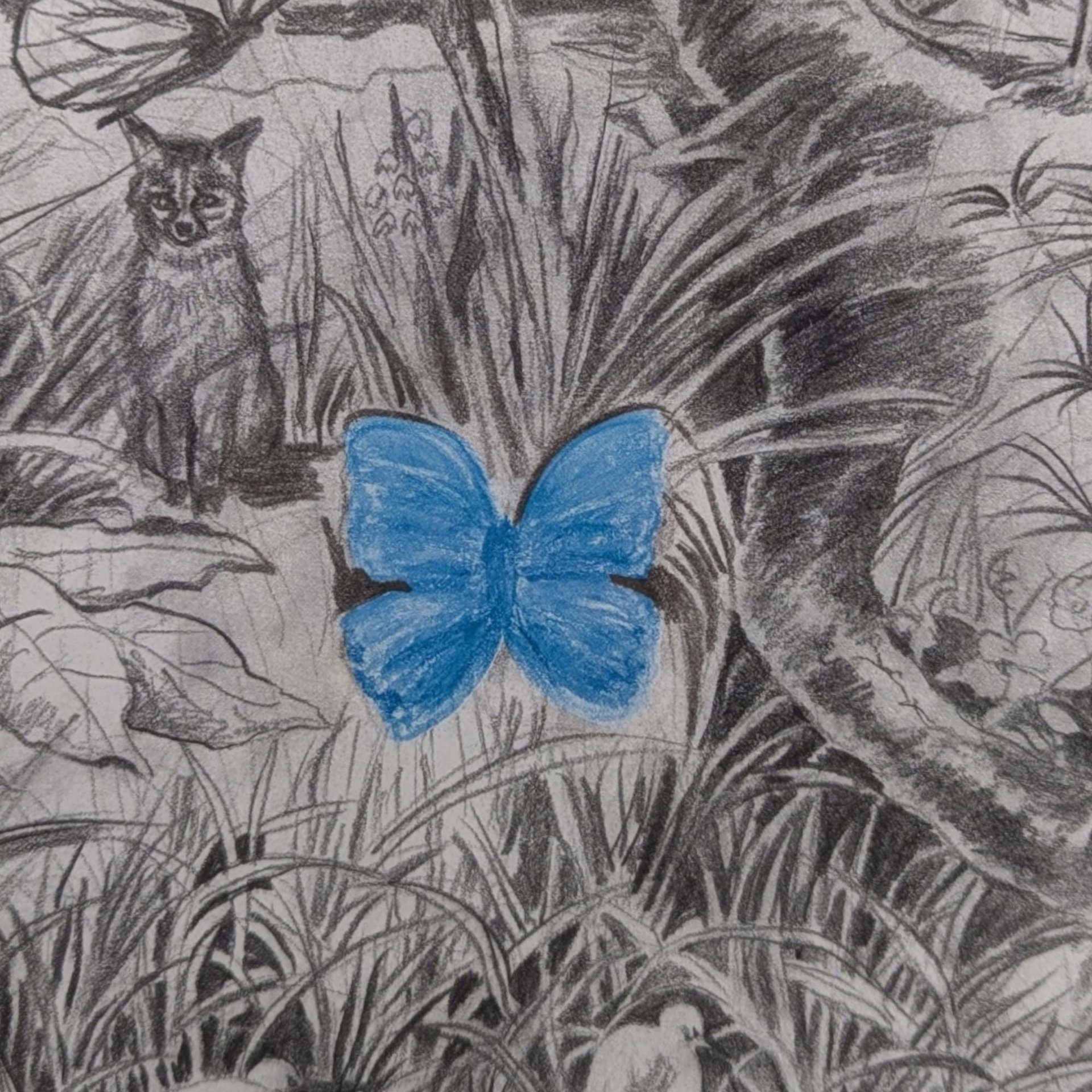 1998 Detailed Nature Drawing Print, Black Metal Frame, Vintage Wildlife Art, Gift for Nature Lover, Home Decor