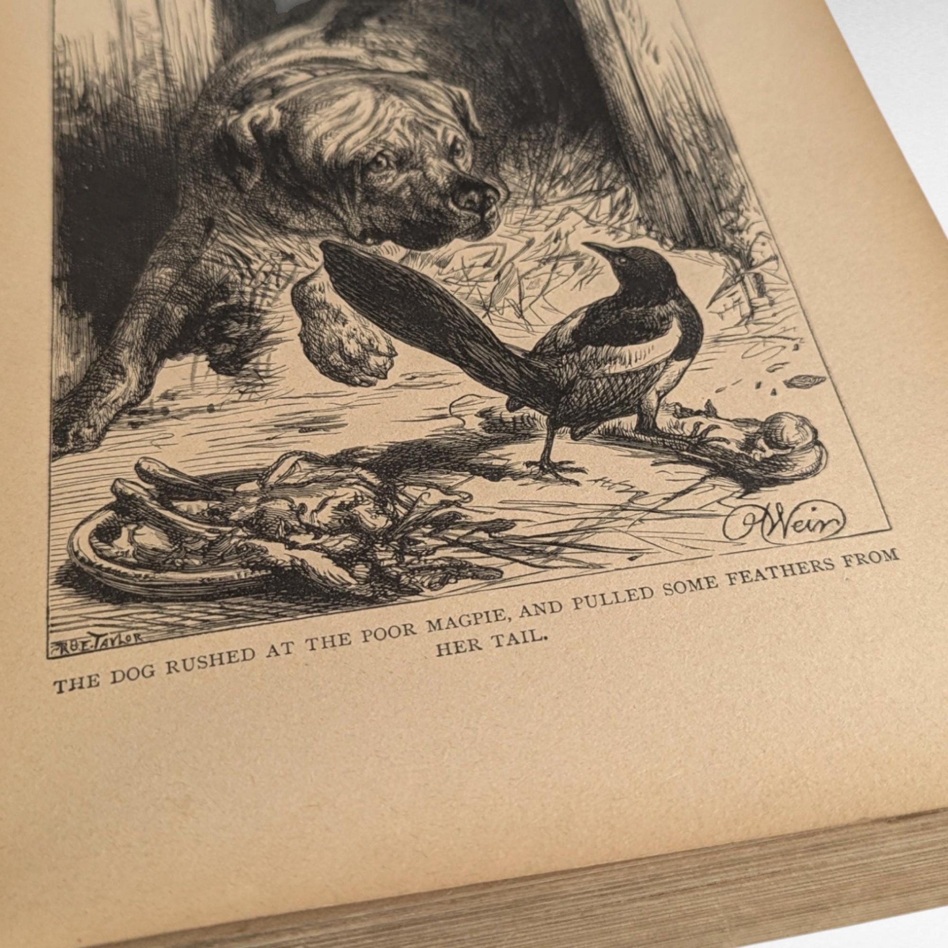 1891 Little Daughters Pleasure Book, Antique Children's Literature, Mary D. Brine, Illustrated Stories, Gift for Collector