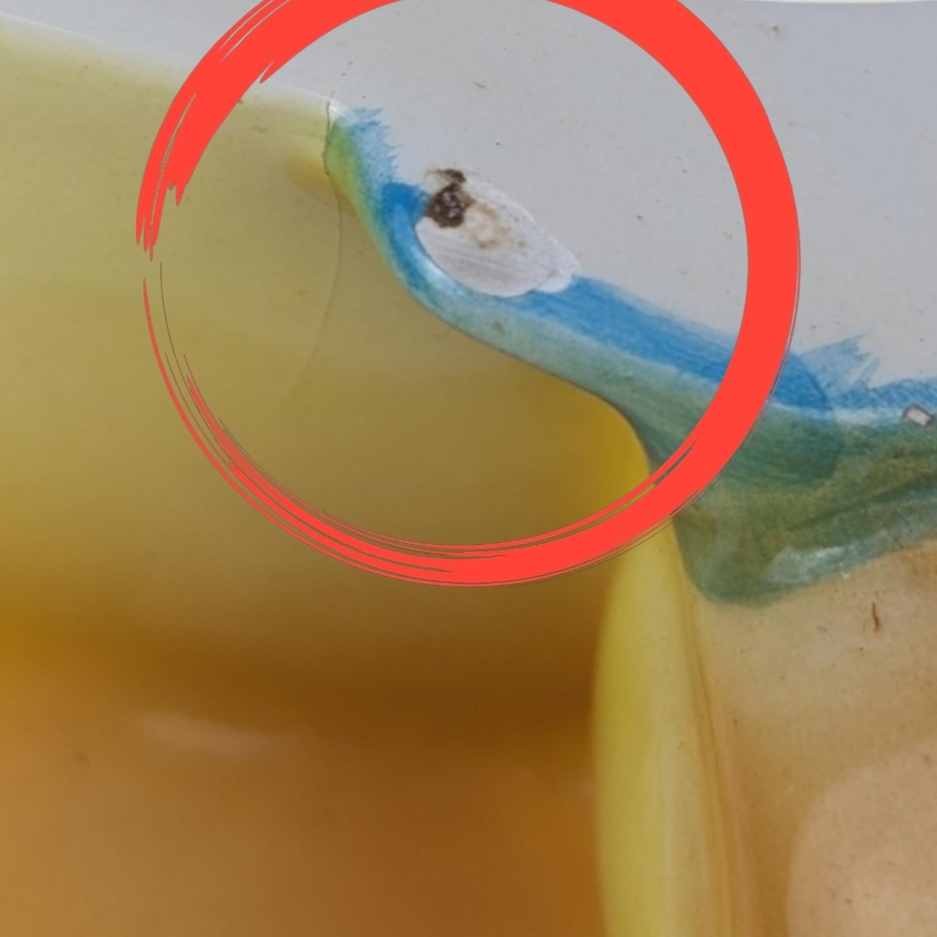 Vintage Willits Designs Bear with Honey Pot Musical Cookie Jar | Collectible Cookie Jar | Kitchen Decor | Unique Gift