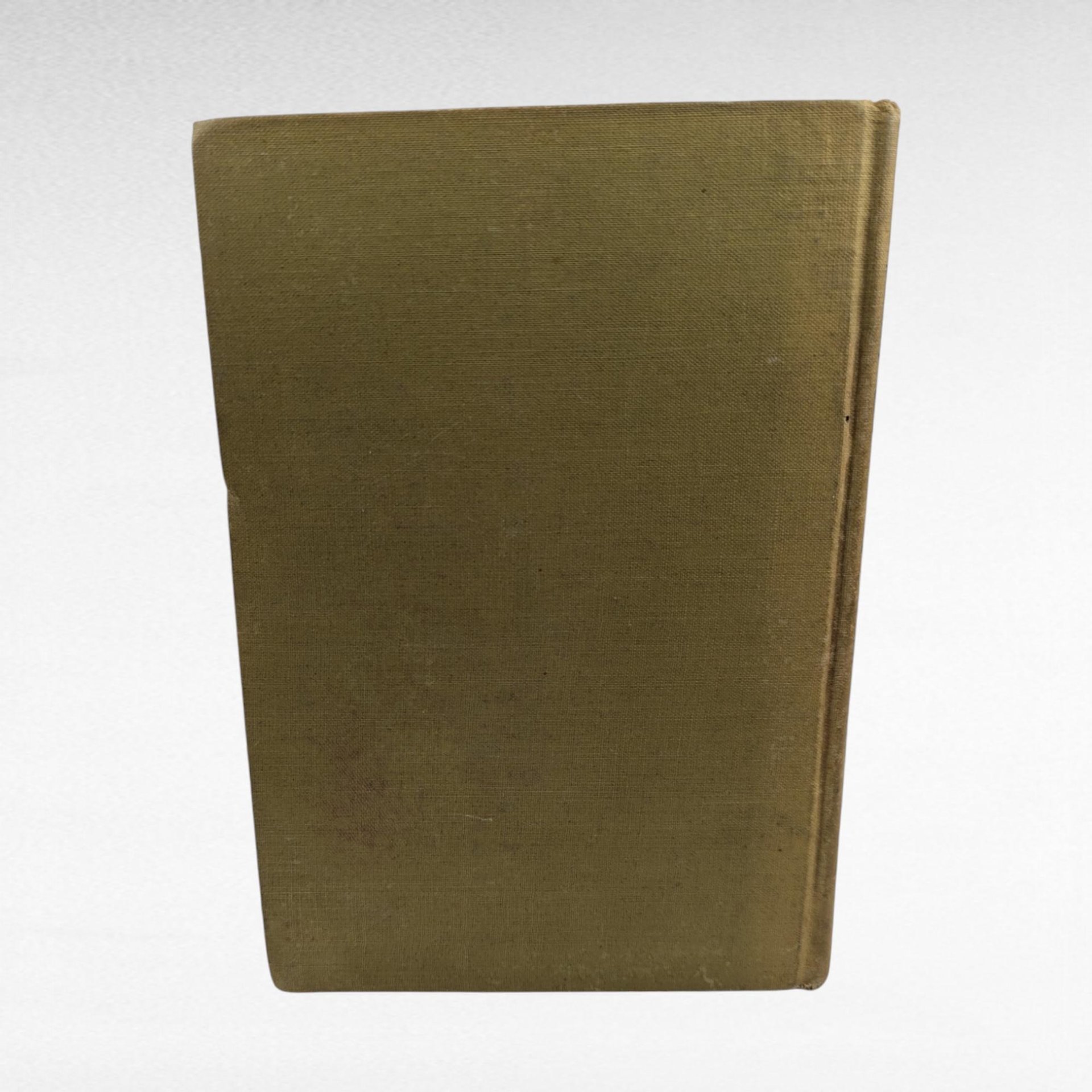 1910 Madame X Antique Book, Mother Love Story, Illustrated, by J.W. McConaughy, The H.K. Fly Company, Edward C. Volkert