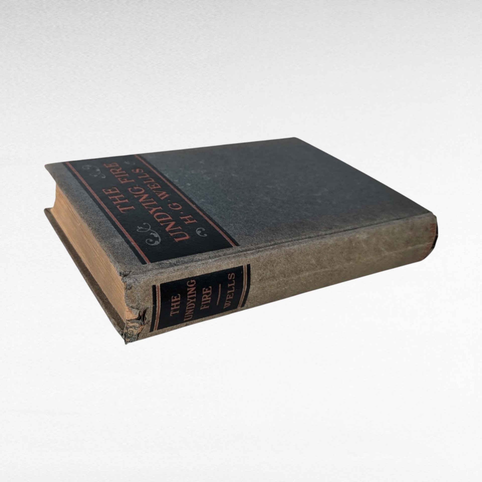 1919 H.G. Wells The Undying Fire, First Edition, Hardcover Book, Antique Book, Science Fiction, Social Commentary