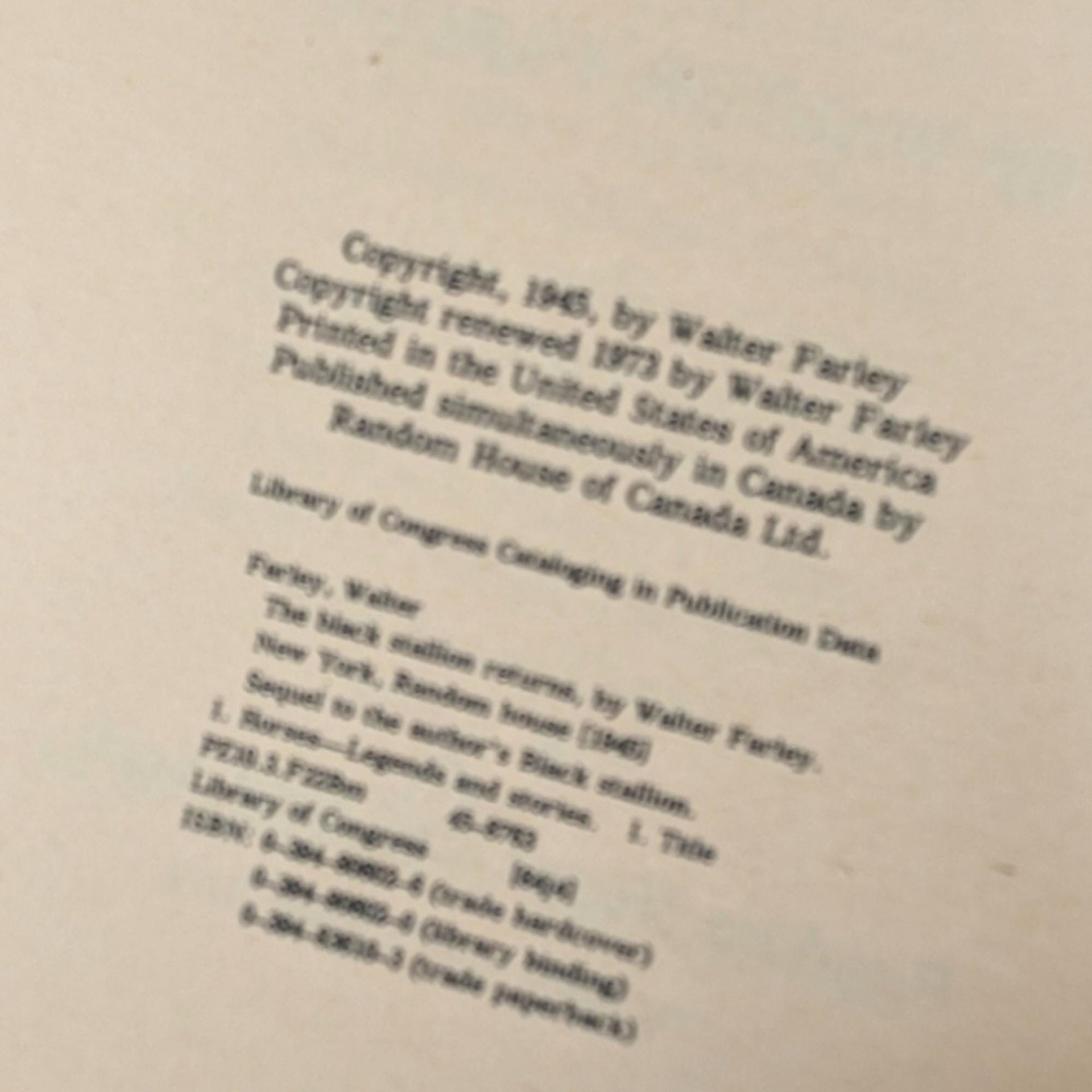 Vintage Walter Farley's Black Stallion Book Set, 1973 Edition, Children's Horse Books, Classic Literature, Gift for Young Readers