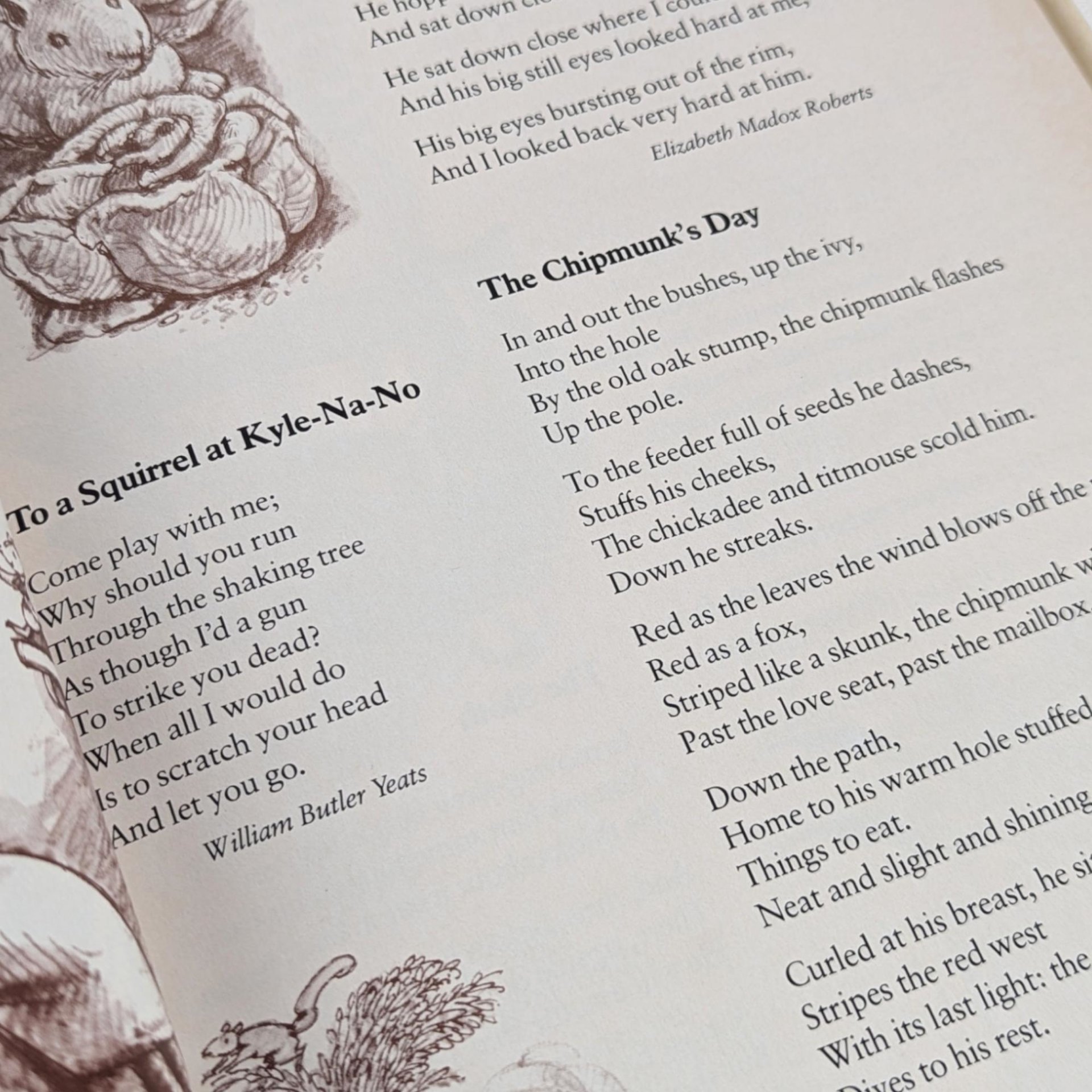 Vintage 1983 Children's Poetry Book, The Random House Book of Poetry for Children, Illustrated by Arnold Lobel, Kids Book, Gift for Readers