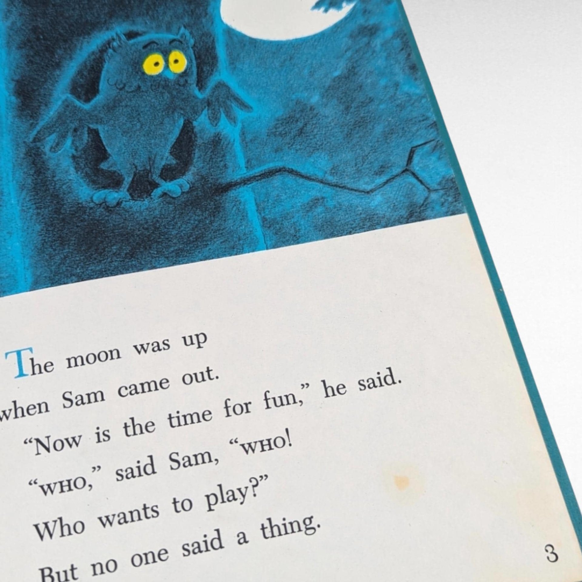 1958 Sam and the Firefly | P.D. Eastman | Vintage Children's Book | Beginner Books | Early Reader