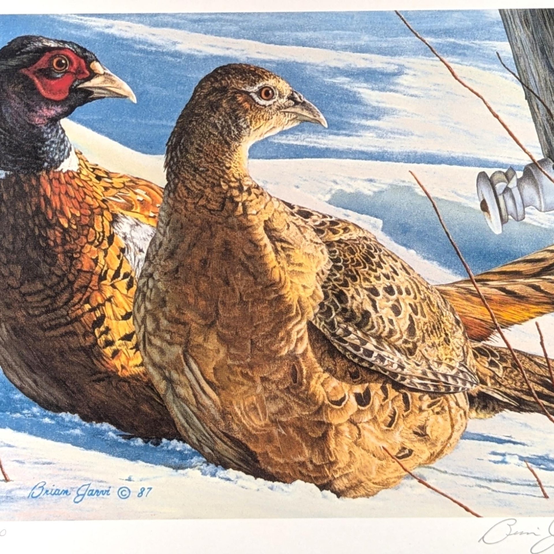 1987 Minnesota Pheasant Habitat Stamp Print, Framed & Signed Brian Jarvi, Limited Edition #1835/3500