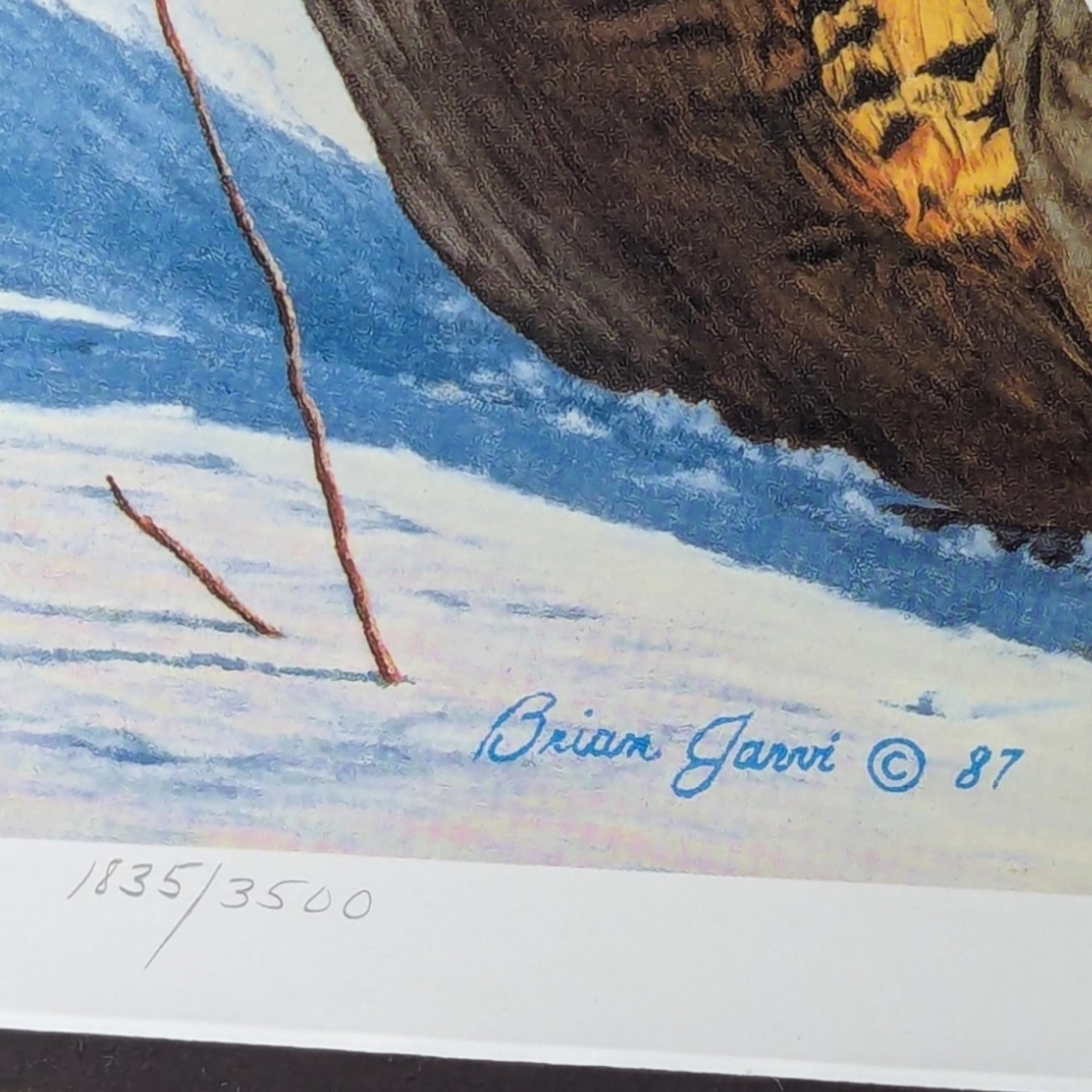 1987 Minnesota Pheasant Habitat Stamp Print, Framed & Signed Brian Jarvi, Limited Edition #1835/3500