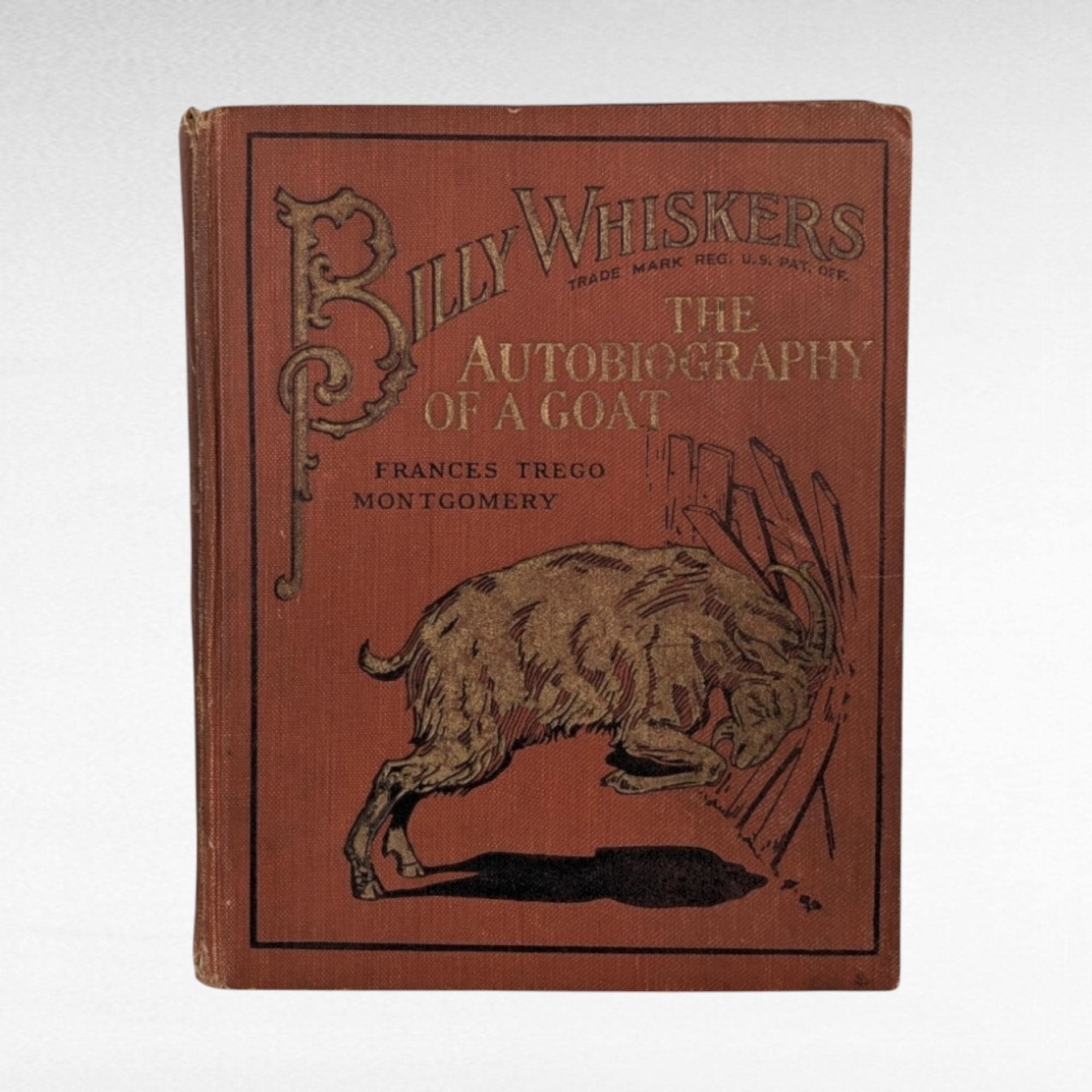 1902 Billy Whiskers Autobiography of a Goat, Frances Trego Montgomery, Antique Children's Book, Antique Animal Story, Fair Condition