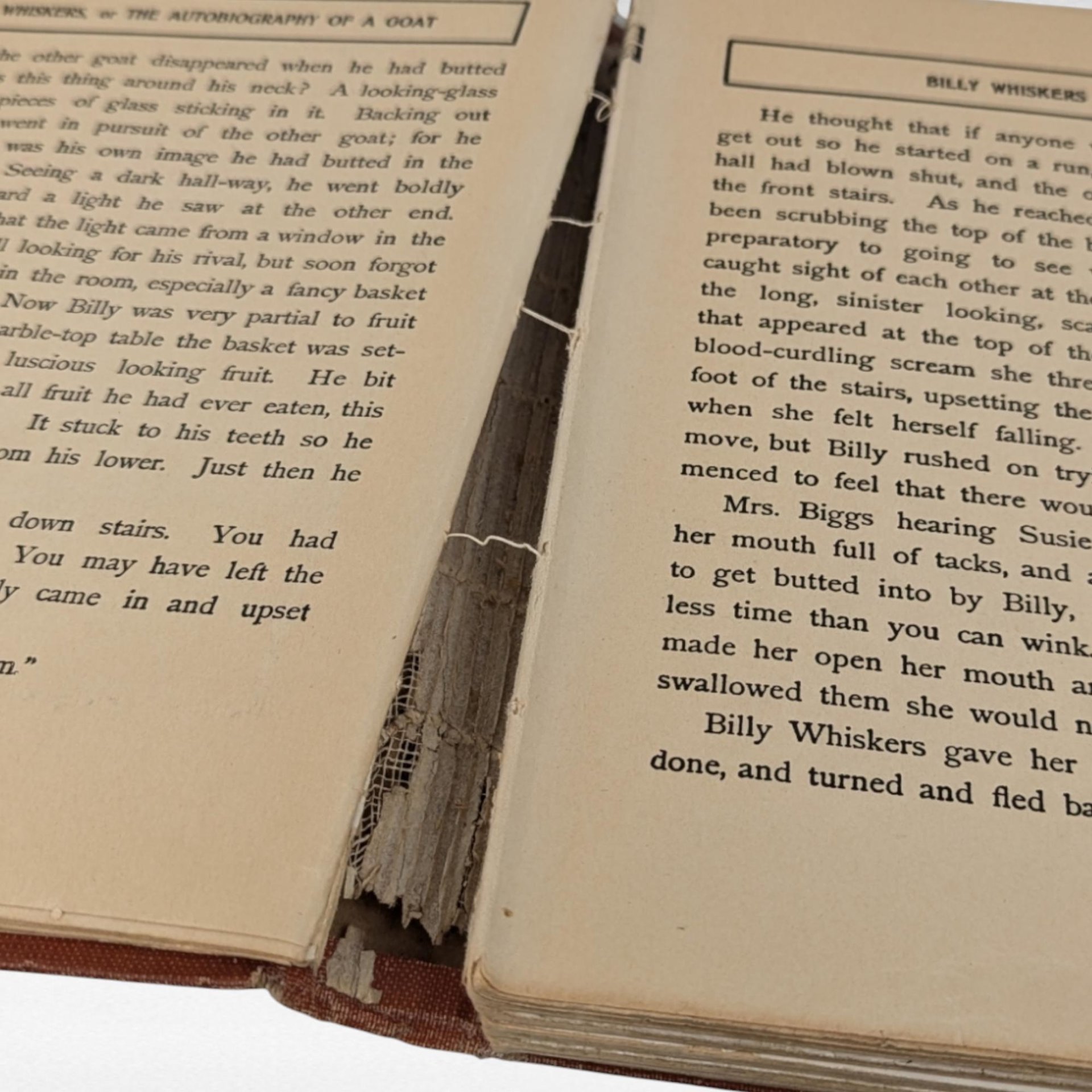 1902 Billy Whiskers Autobiography of a Goat, Frances Trego Montgomery, Antique Children's Book, Antique Animal Story, Fair Condition