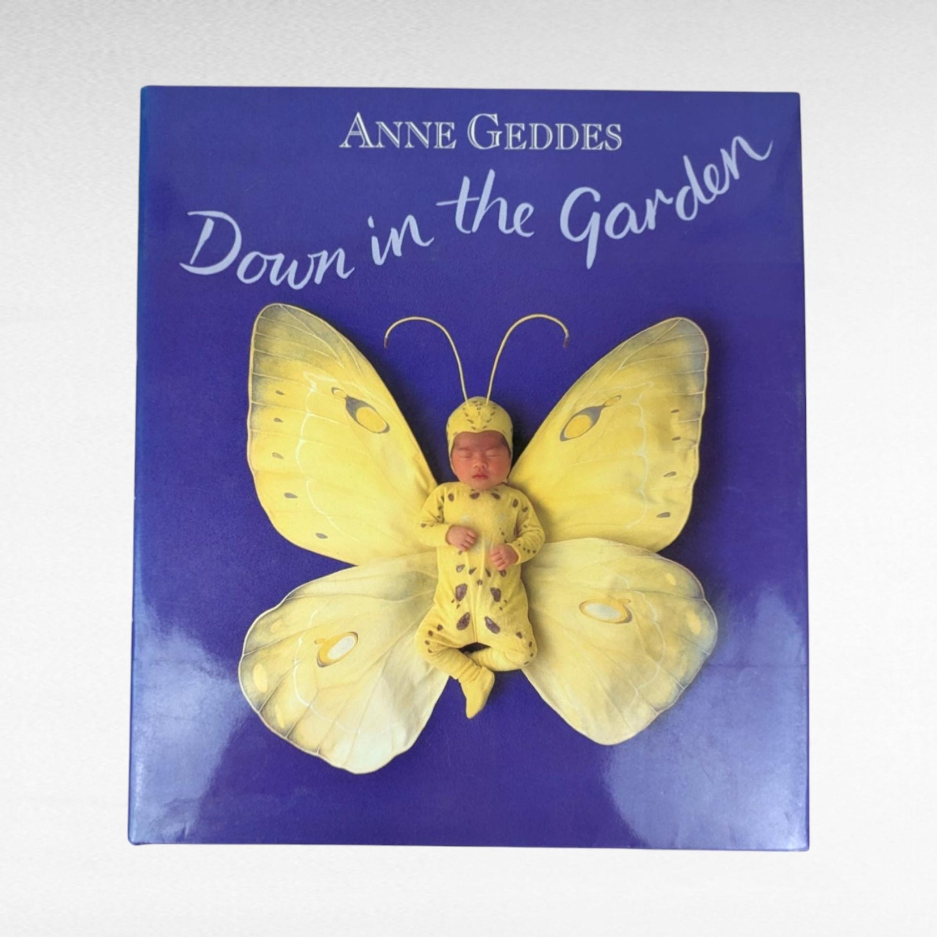 Anne Geddes Book Pair, Down in the Garden, Until Now, Photography Books, Coffee Table Books, Gift for Photography Lover, Collectible Books