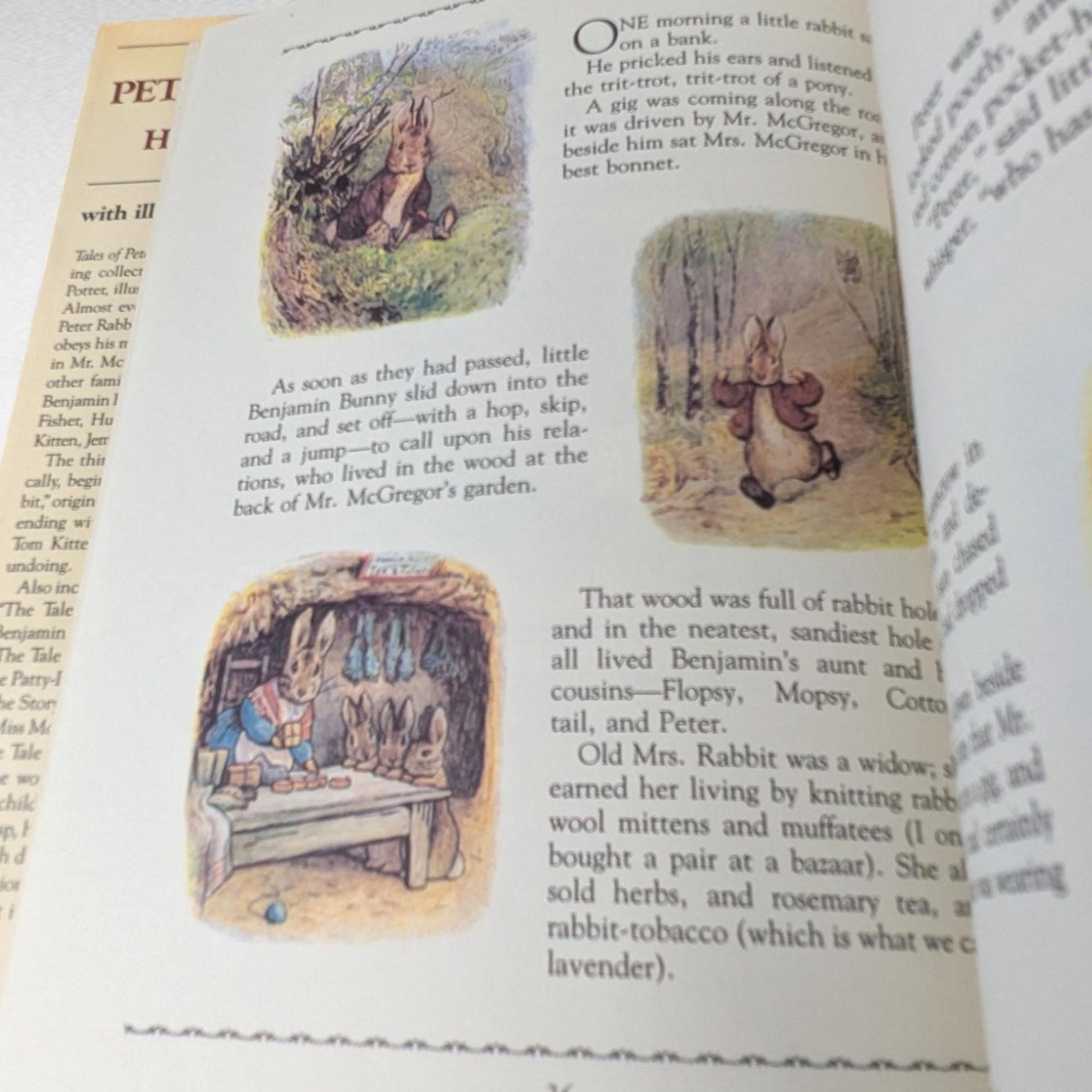 1984 Tales of Peter Rabbit and His Friends, Beatrix Potter Hardcover, Children's Literature, Classic Storybook, Gift for Kids