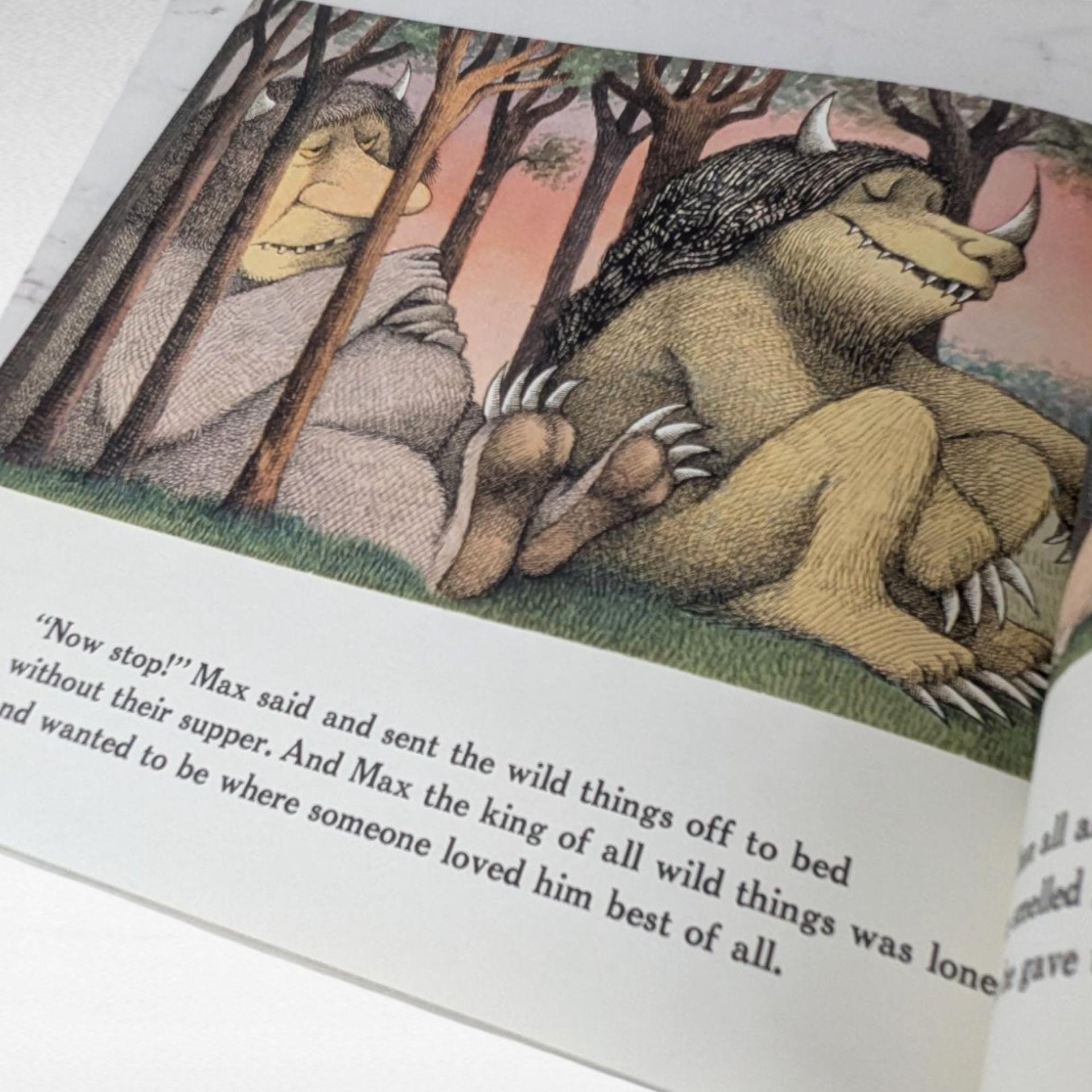 Vintage Where the Wild Things Are by Maurice Sendak, 1991 Softcover, Children's Book, Illustrated Classic, Bedtime Story, Nostalgic Gift