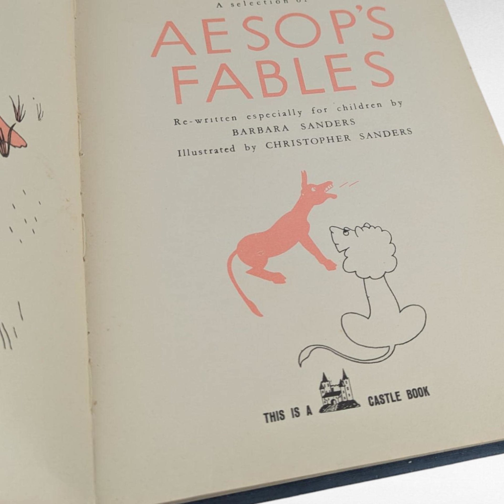 Vintage Aesop's Fables Hardcover, Illustrated by Christopher Sanders, Classic Literature, Collectible Book, Gift for Book Lover