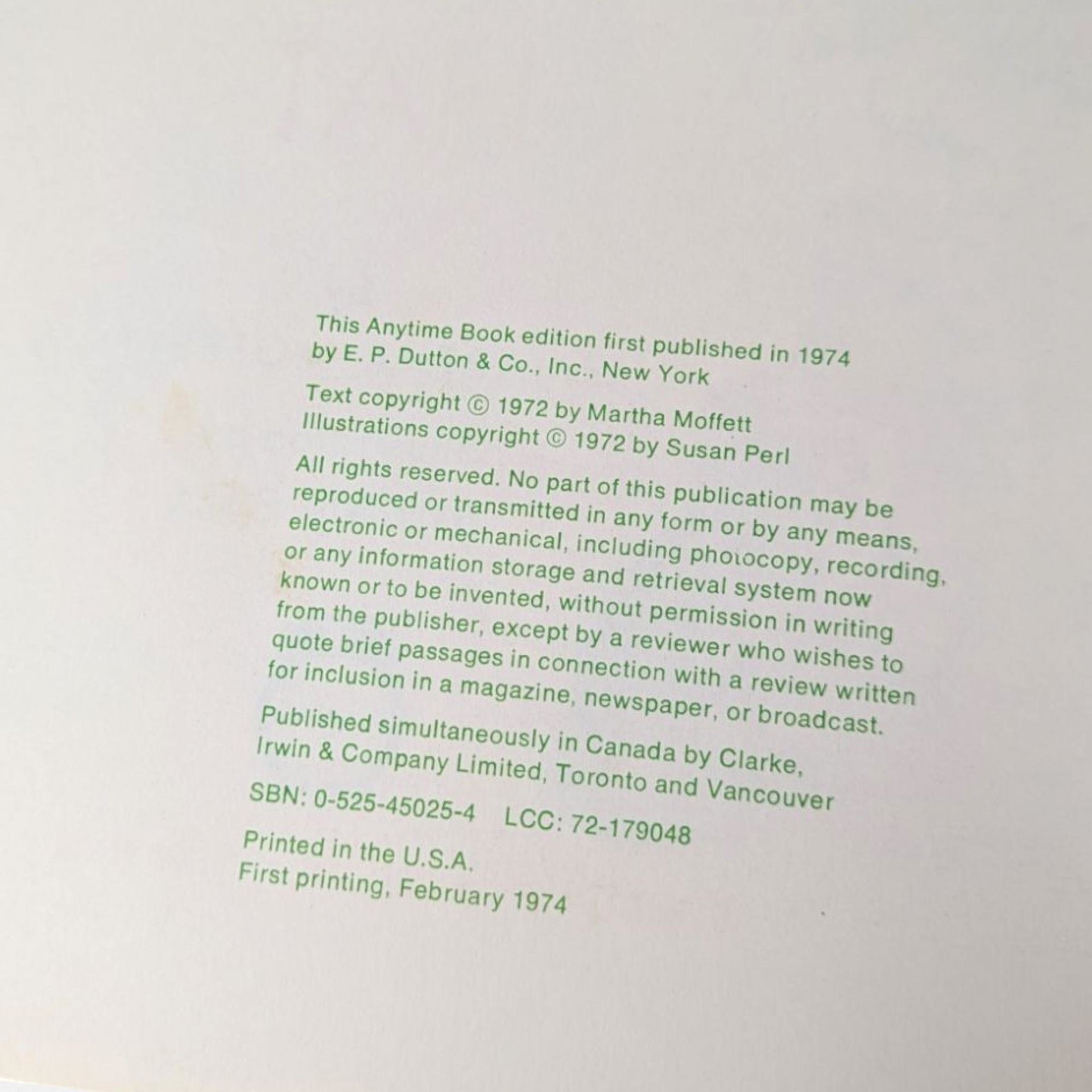 1974 A Flower Pot is Not a Hat Softcover Book, Martha Moffett, Illustrated Children's Book, Vintage Picture Book