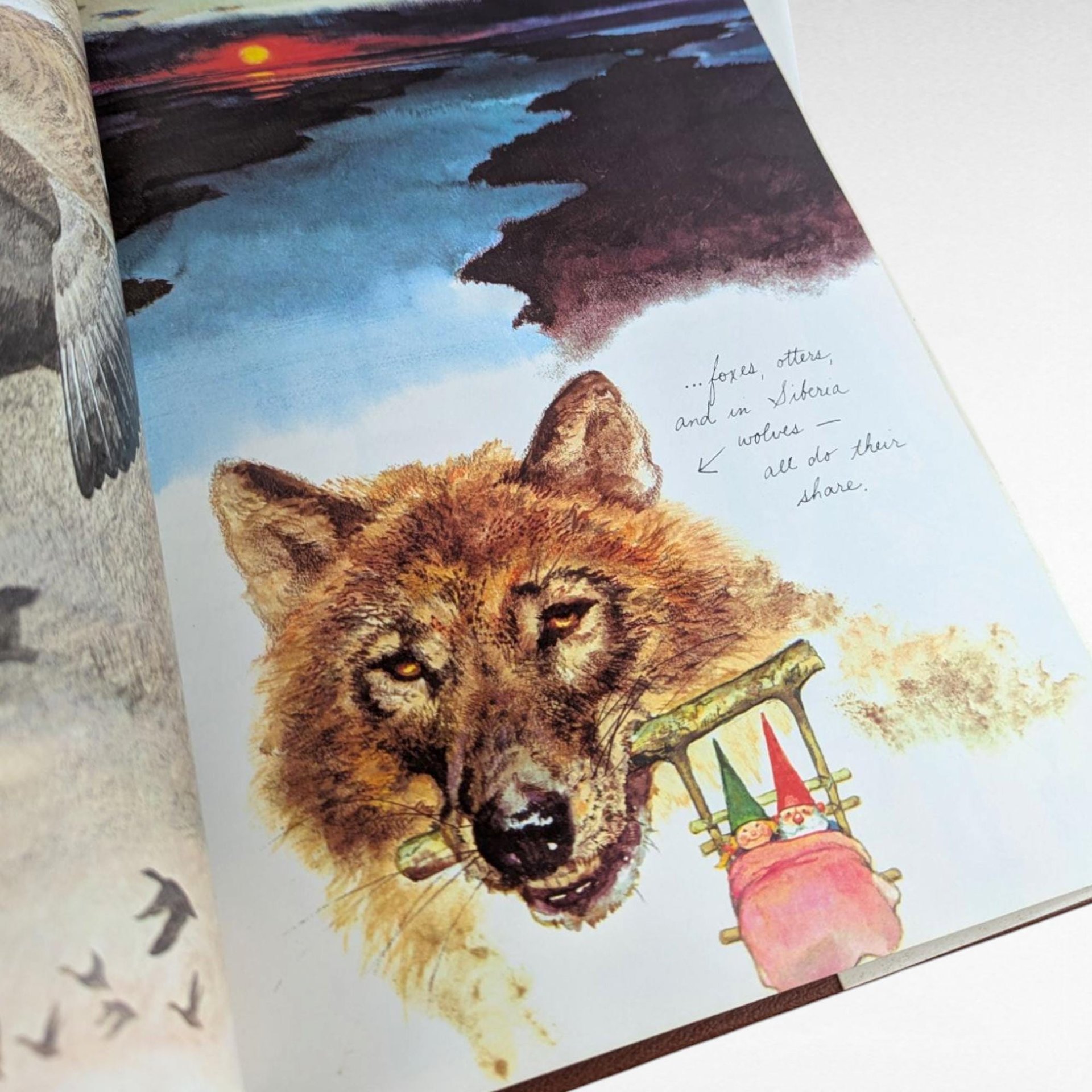 1977 Gnomes Hardcover Book, Wil Huygen Rien Poortvliet, Vintage Illustrated Folklore, Harry N. Abrams Collectible