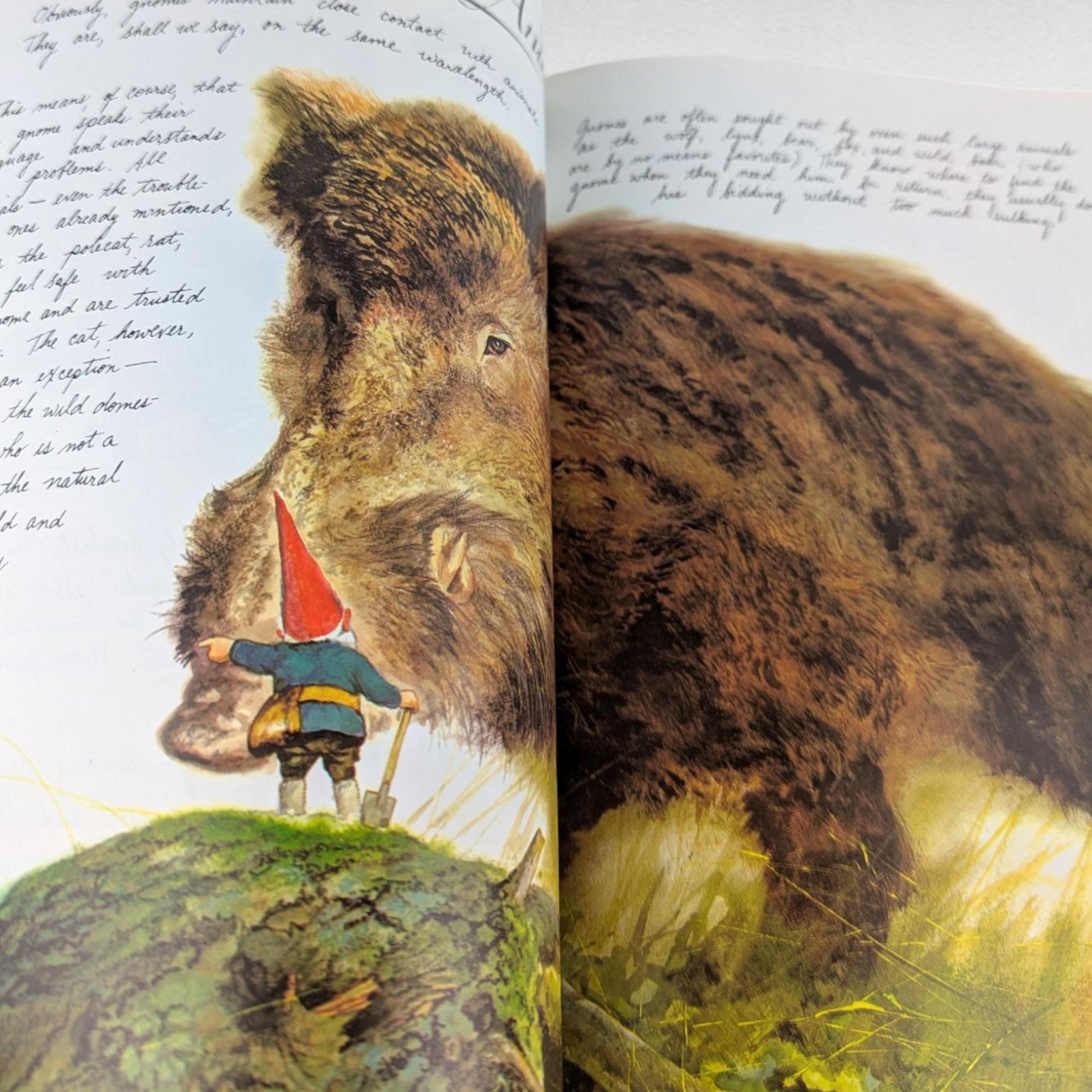 1977 Gnomes Hardcover Book, Wil Huygen Rien Poortvliet, Vintage Illustrated Folklore, Harry N. Abrams Collectible