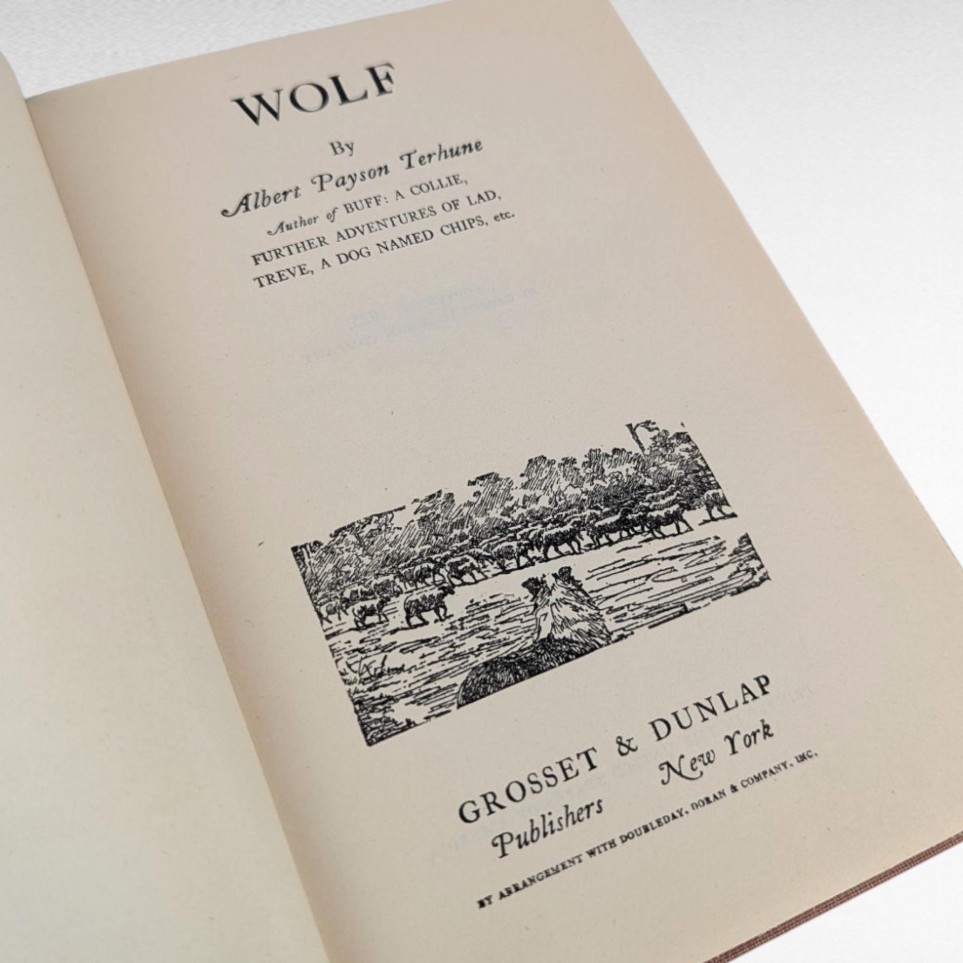 1925 Wolf, Albert Payson Terhune, Hardcover, Vintage, Dog Story, Gift for Animal Lovers