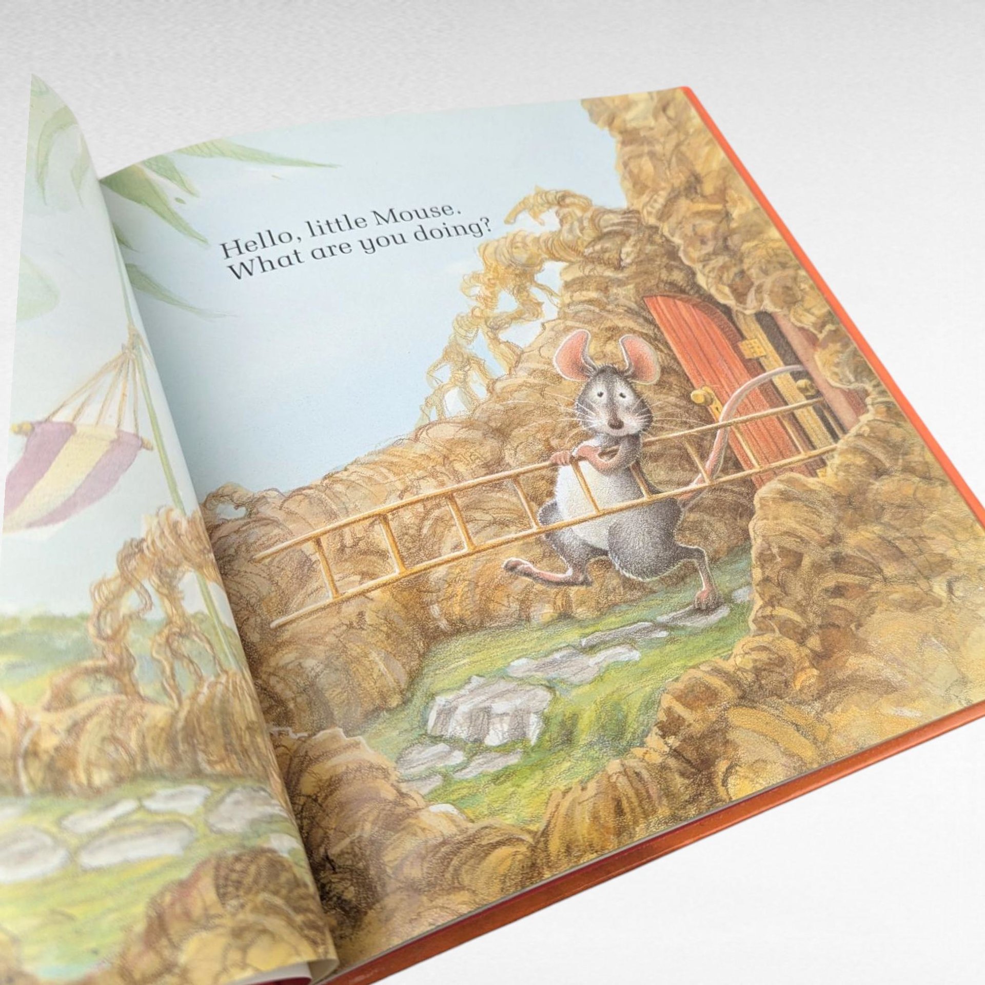 1984 Little Mouse Strawberry Bear Hardcover, Don & Audrey Wood, Illustrated Children's Book