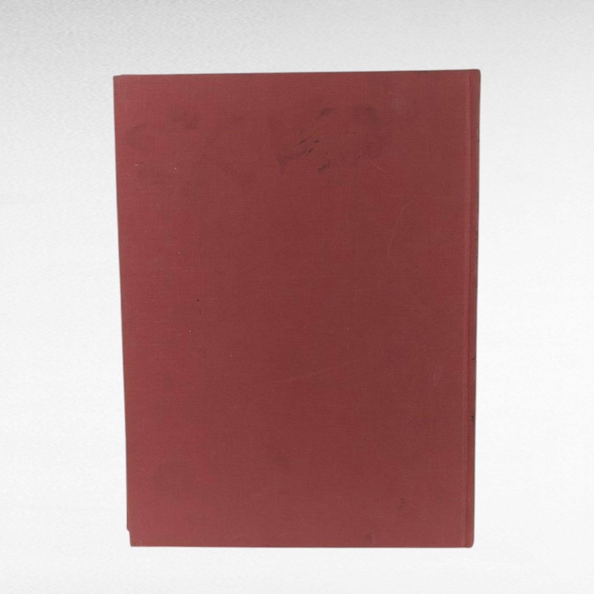 Rubaiyat Omar Khayyam Fitzgerald Pogany Illustrated, Poetry Book, Vintage Literary Gift