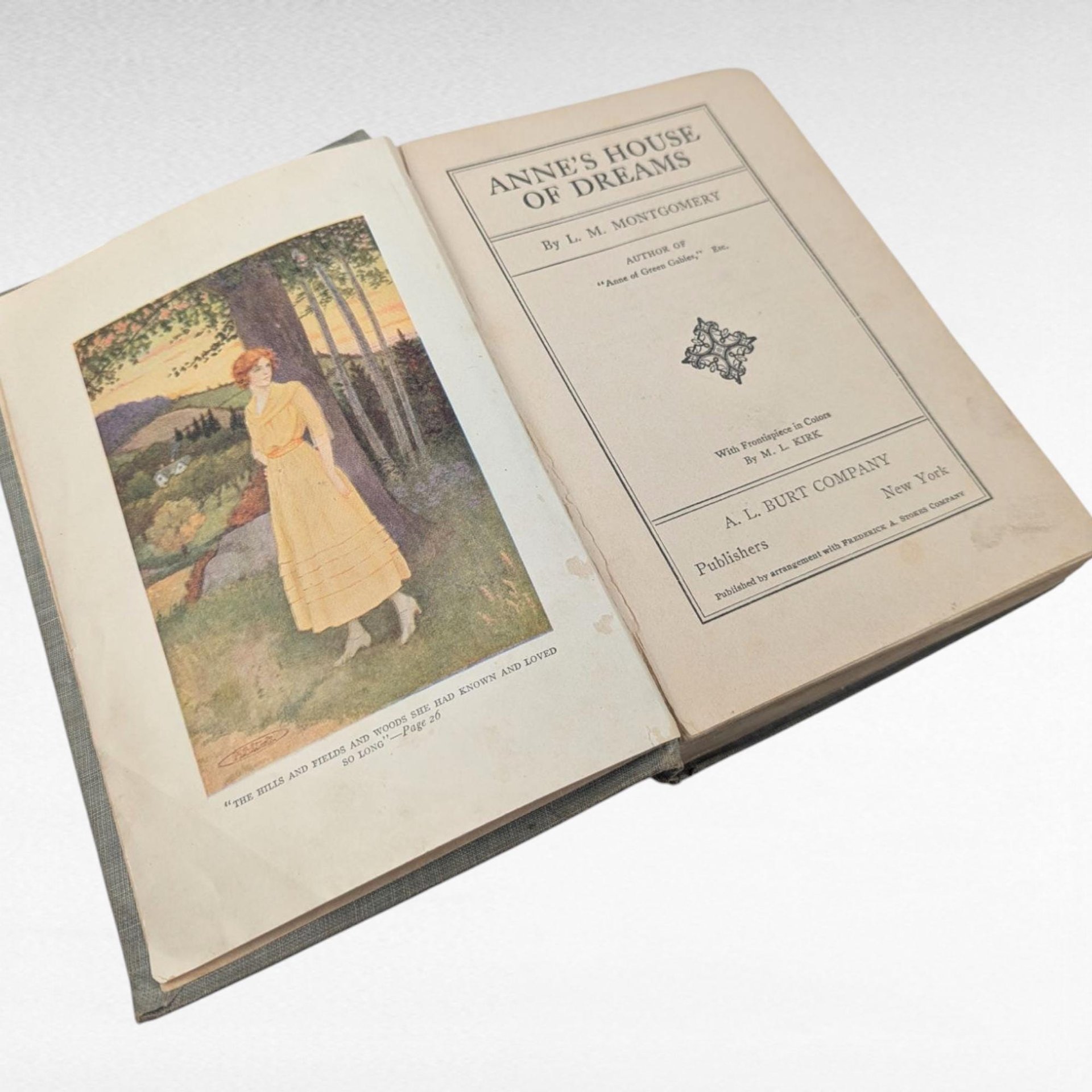 1917 Anne's House of Dreams, L.M. Montgomery, A.L. Burt, Hardcover Book, Classic Literature, Collectible