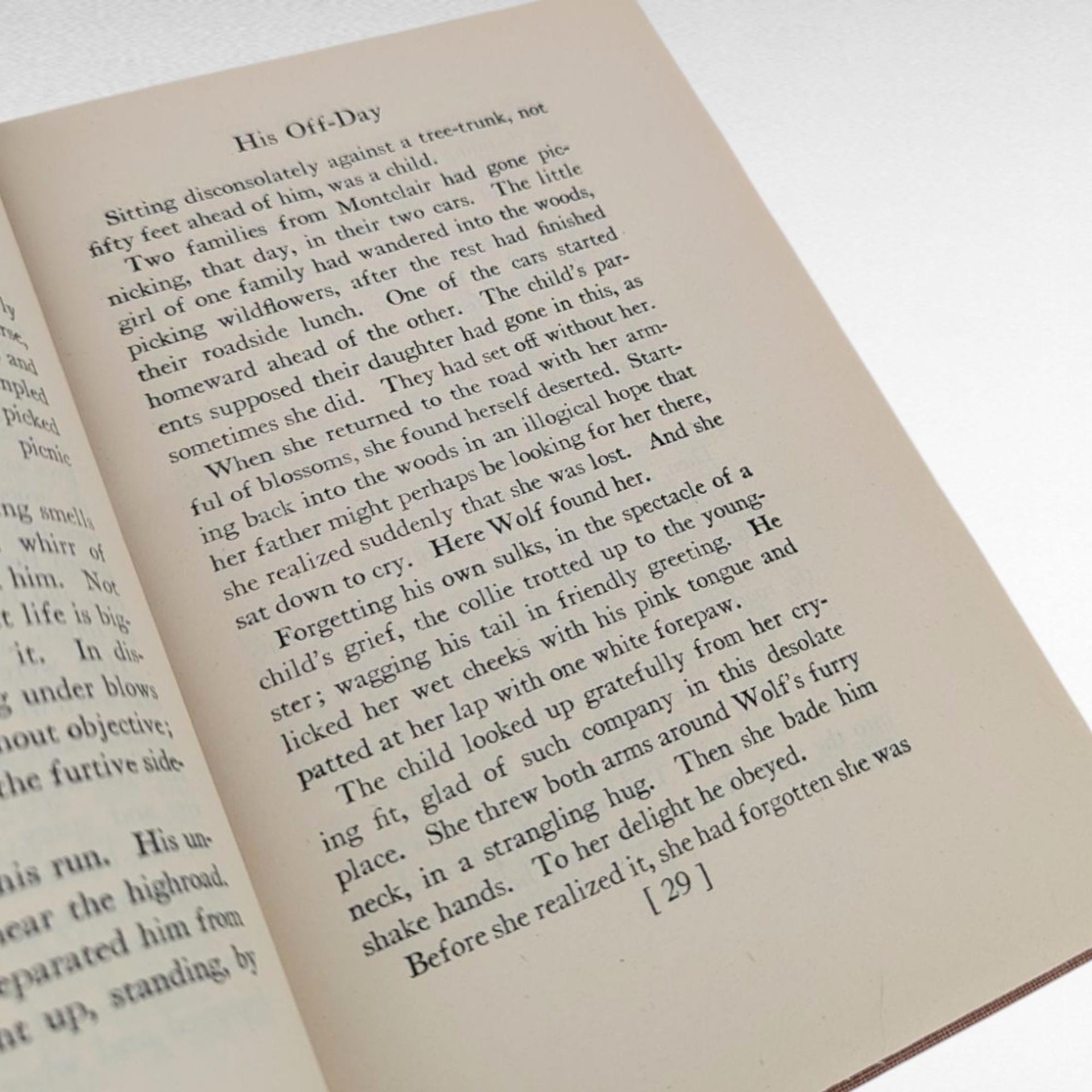 1925 Wolf, Albert Payson Terhune, Hardcover, Vintage, Dog Story, Gift for Animal Lovers
