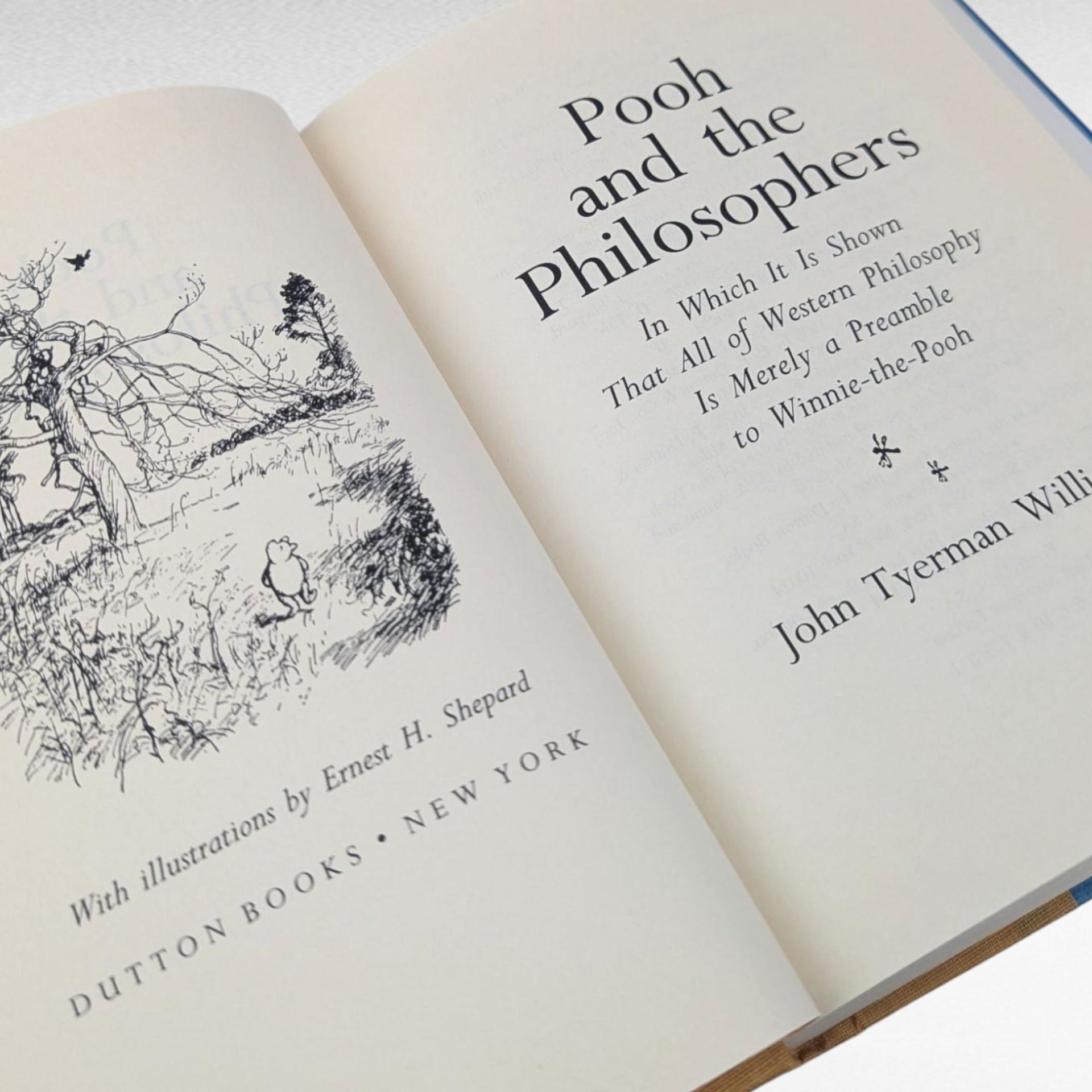 1995 Pooh and the Philosophers, John Tyerman Williams, Hardcover Book, Winnie The Pooh Philosophy