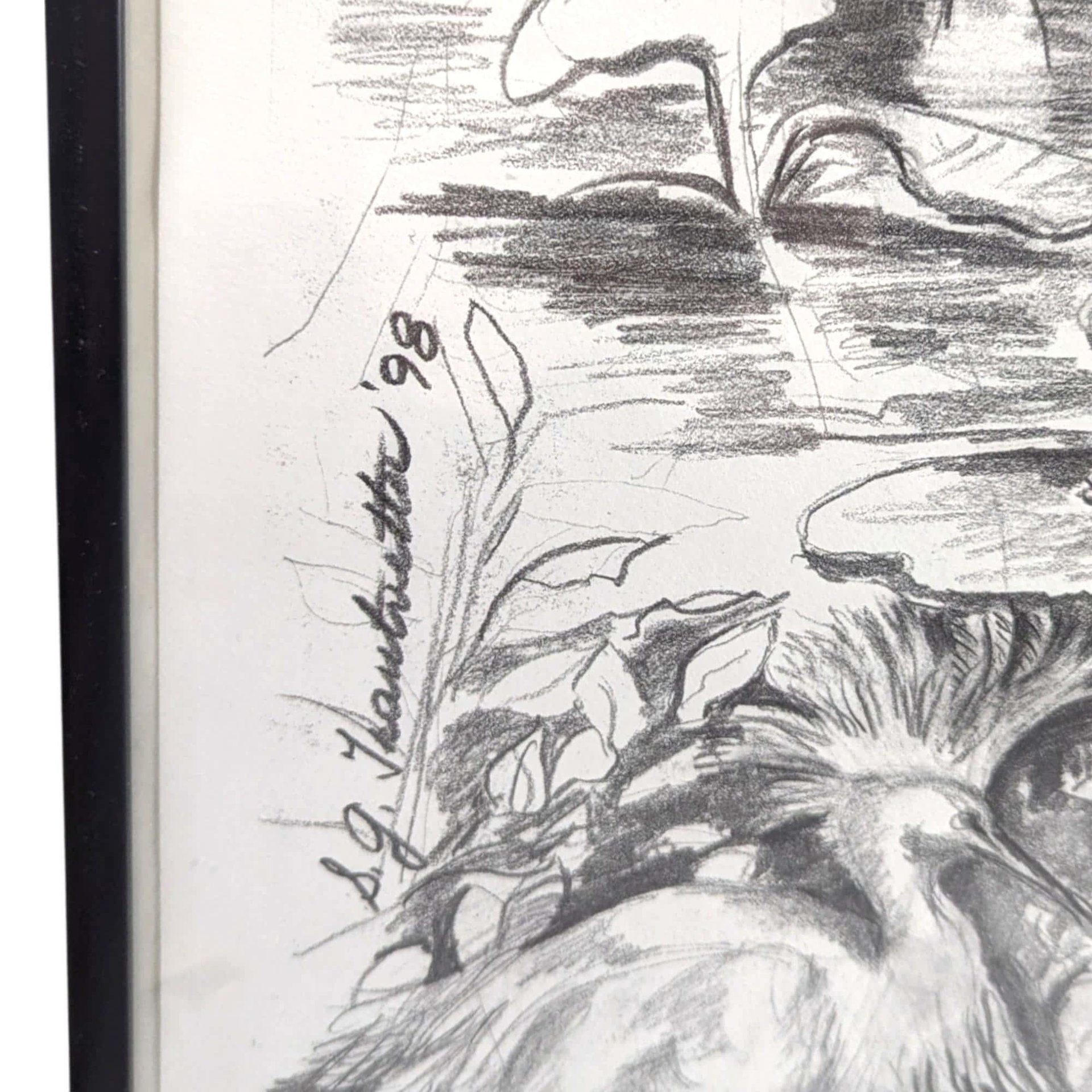 1998 Detailed Nature Drawing Print, Black Metal Frame, Vintage Wildlife Art, Gift for Nature Lover, Home Decor
