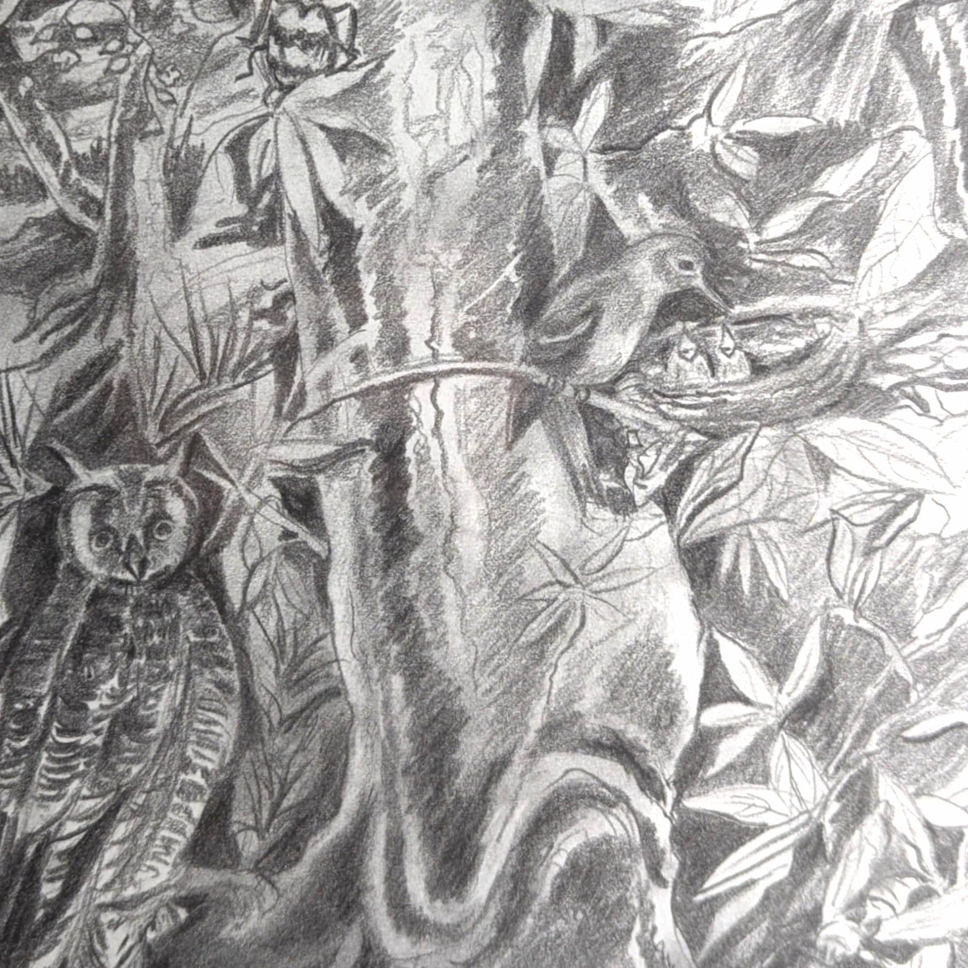 1998 Detailed Nature Drawing Print, Black Metal Frame, Vintage Wildlife Art, Gift for Nature Lover, Home Decor
