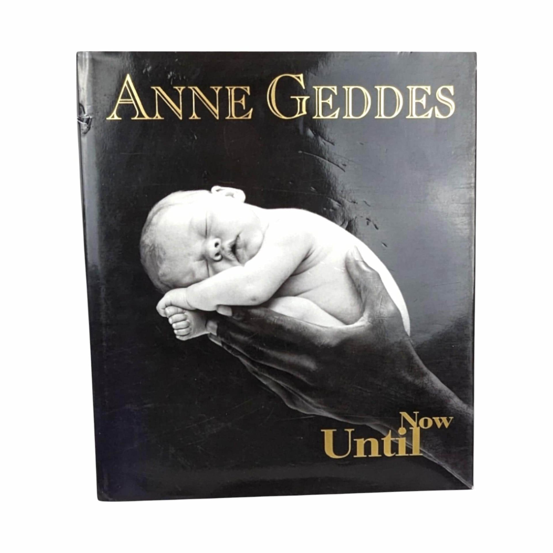 Anne Geddes Book Pair, Down in the Garden, Until Now, Photography Books, Coffee Table Books, Gift for Photography Lover, Collectible Books