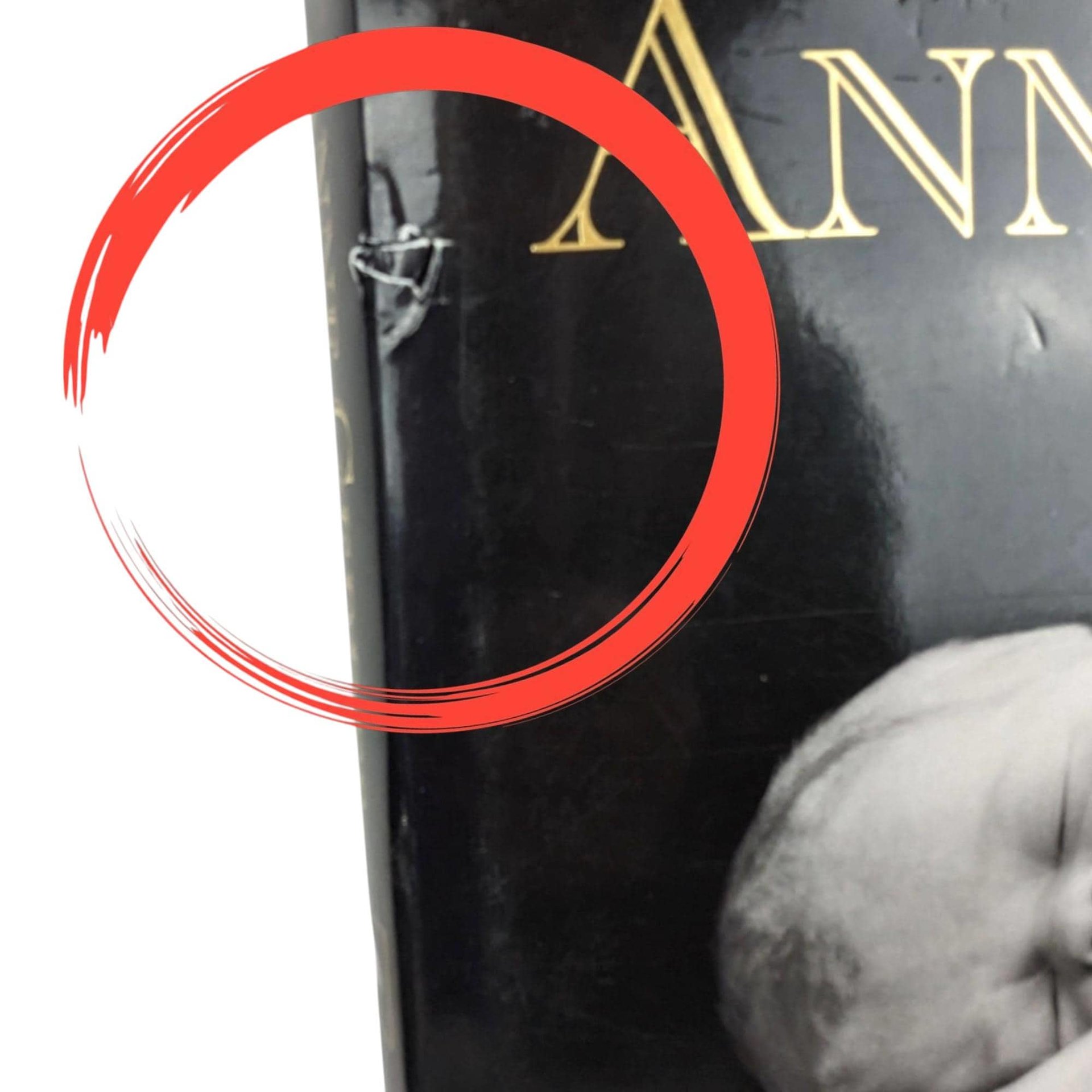 Anne Geddes Book Pair, Down in the Garden, Until Now, Photography Books, Coffee Table Books, Gift for Photography Lover, Collectible Books