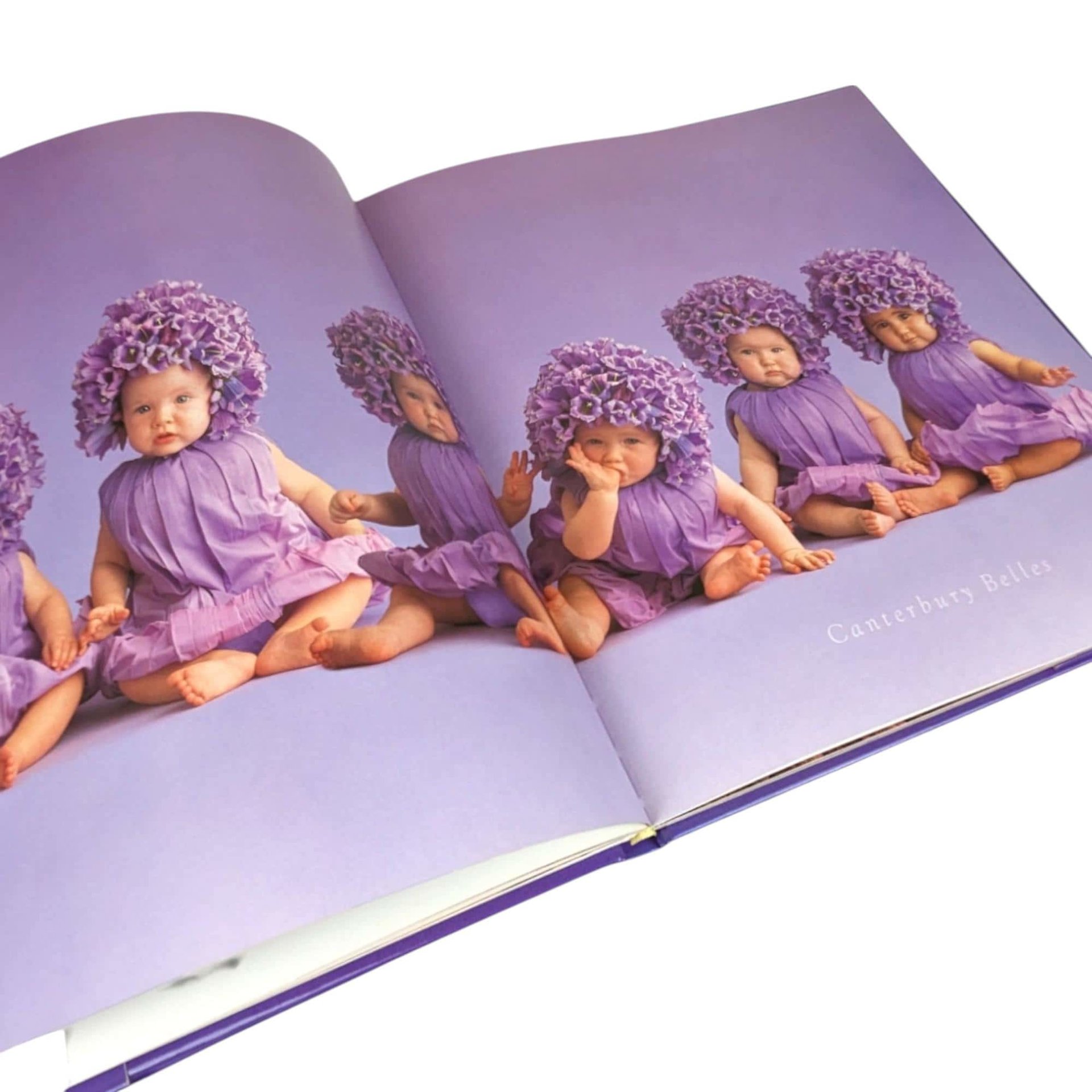 Anne Geddes Book Pair, Down in the Garden, Until Now, Photography Books, Coffee Table Books, Gift for Photography Lover, Collectible Books