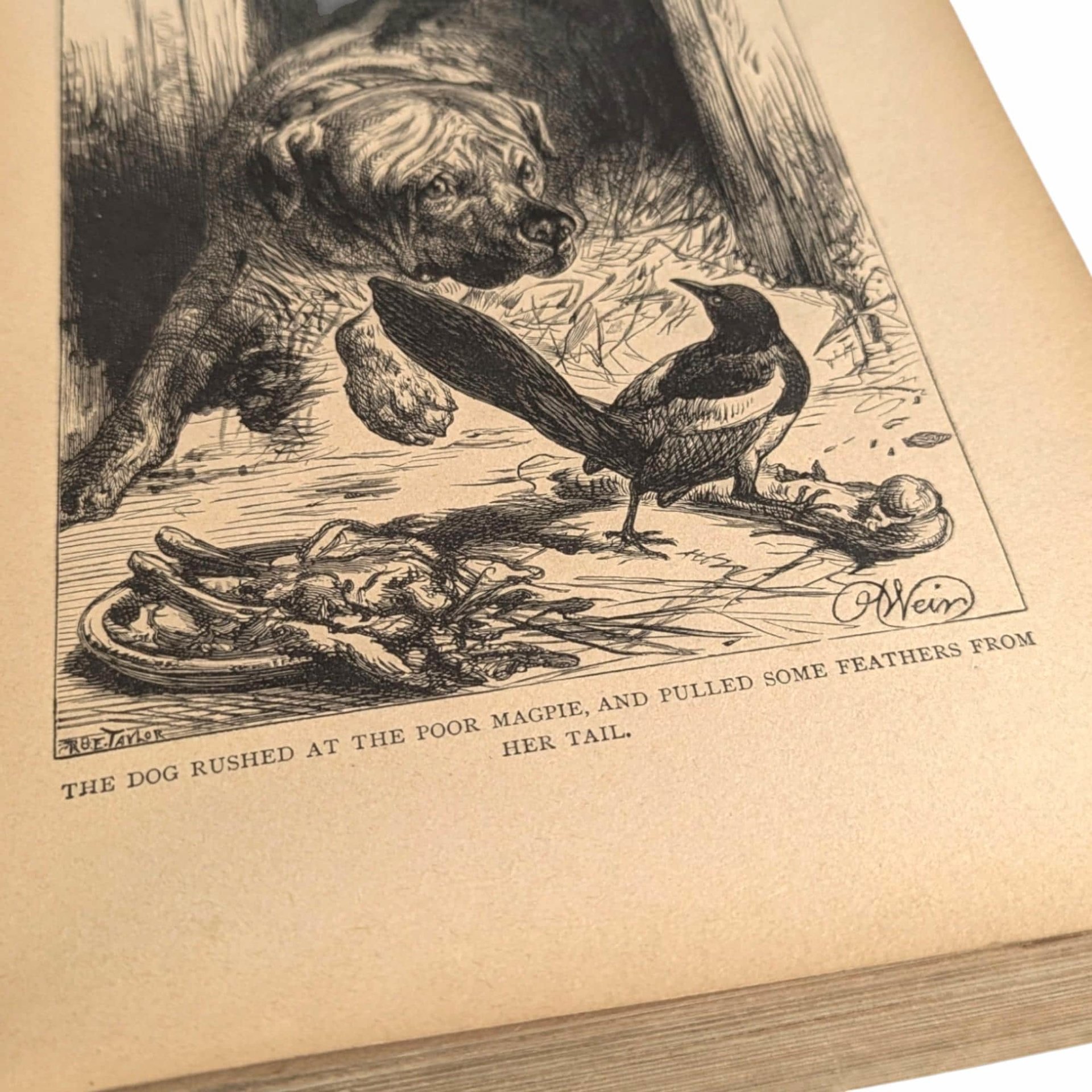 1891 Little Daughters Pleasure Book, Antique Children's Literature, Mary D. Brine, Illustrated Stories, Gift for Collector