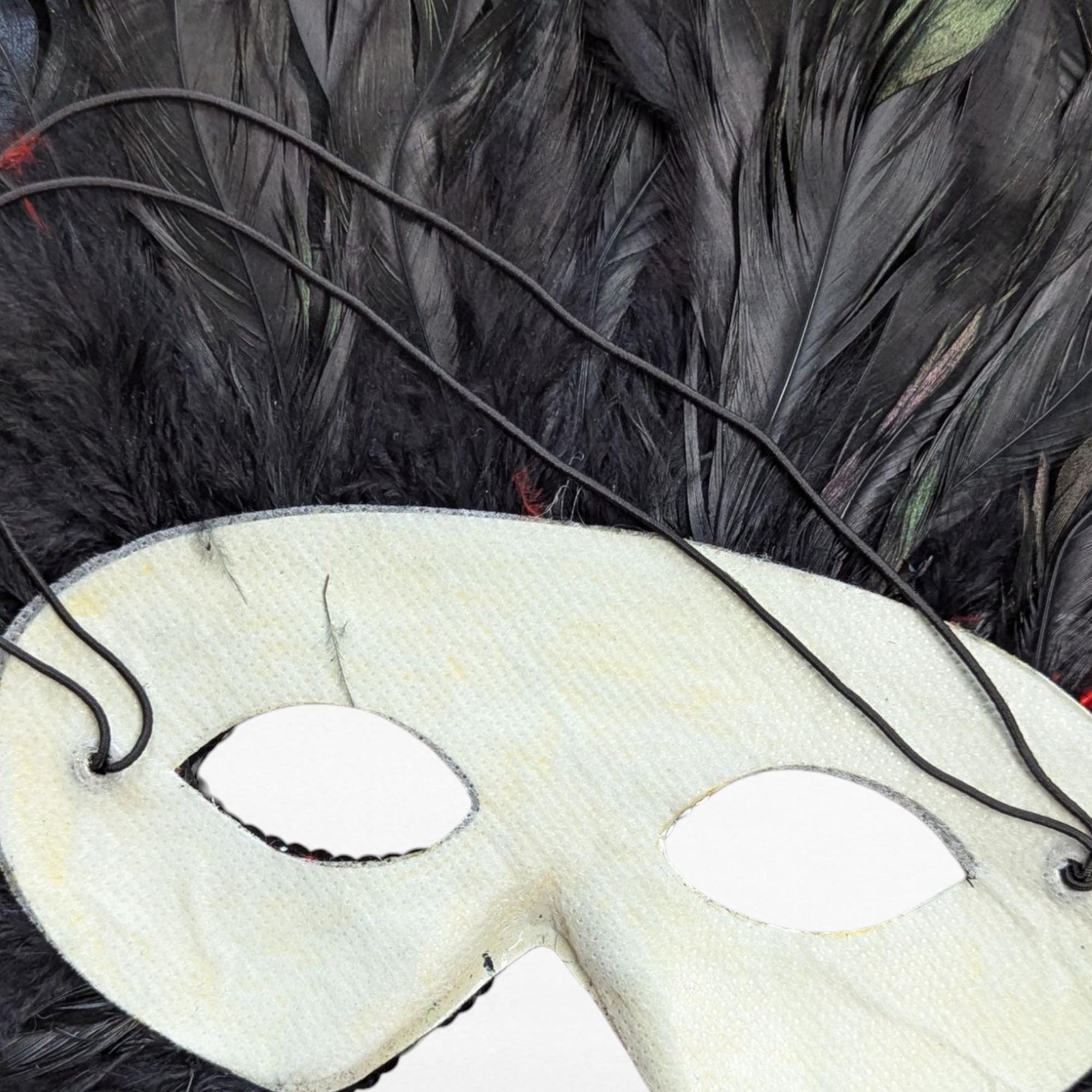 Vintage Feather Mardi Gras Mask, Black and Red Masquerade Ball Mask, Carnival Costume, New Orleans Style Wall Art, Halloween Party