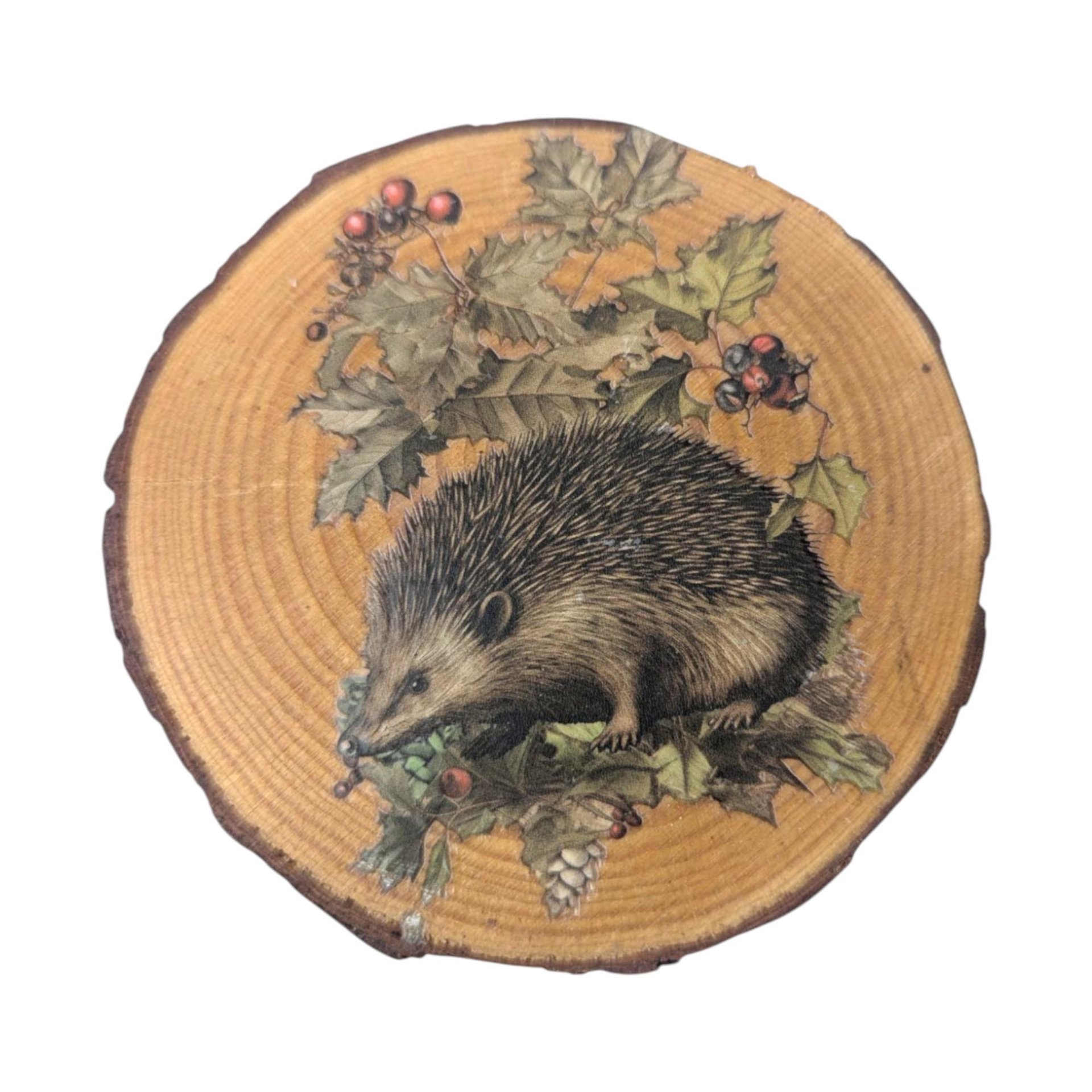 Vintage Wood Slice Coasters (Set of 6): Nature Fairy & Bird Designs