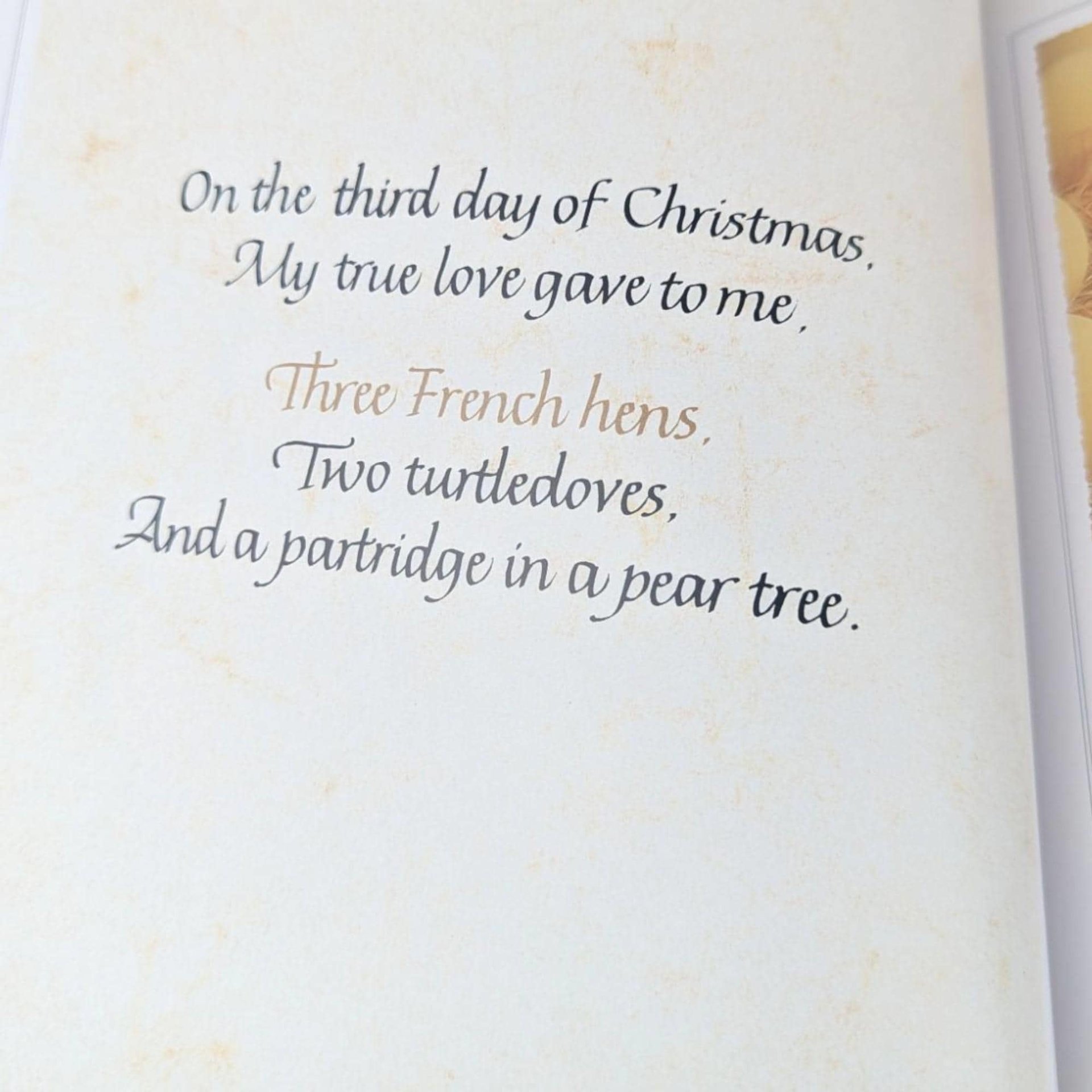 Anne Geddes 'The Twelve Days of Christmas' Book: Collectible Baby Photography