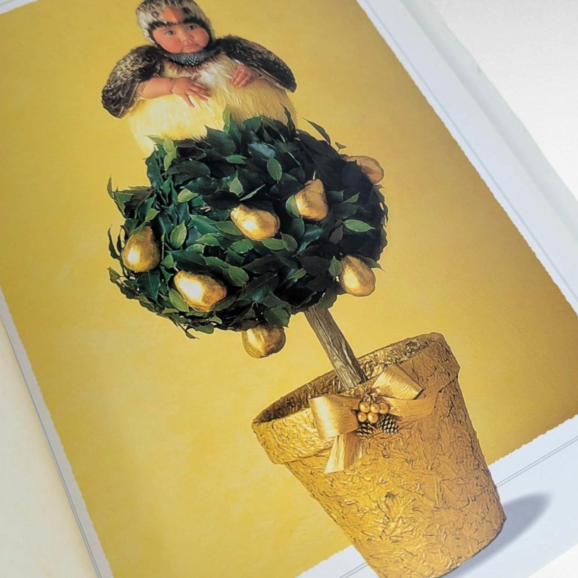 Anne Geddes 'The Twelve Days of Christmas' Book: Collectible Baby Photography