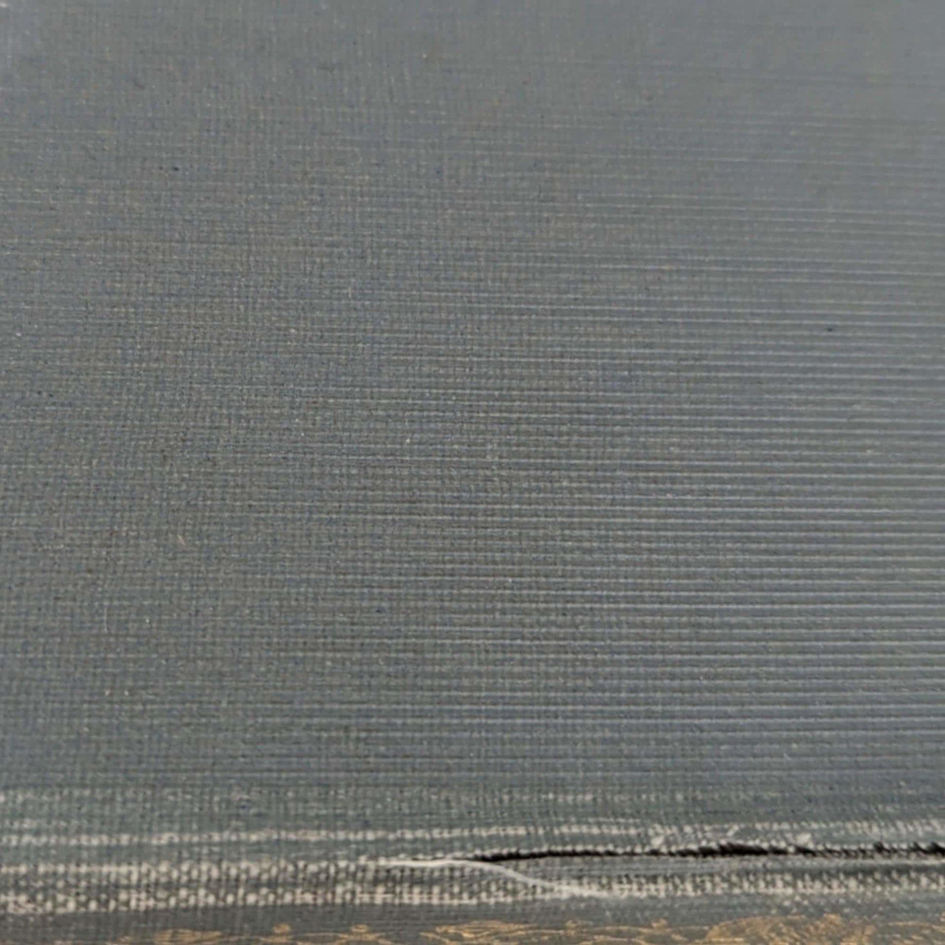 Robert Browning Biography: Victorian Literary Criticism by Edward Dowden