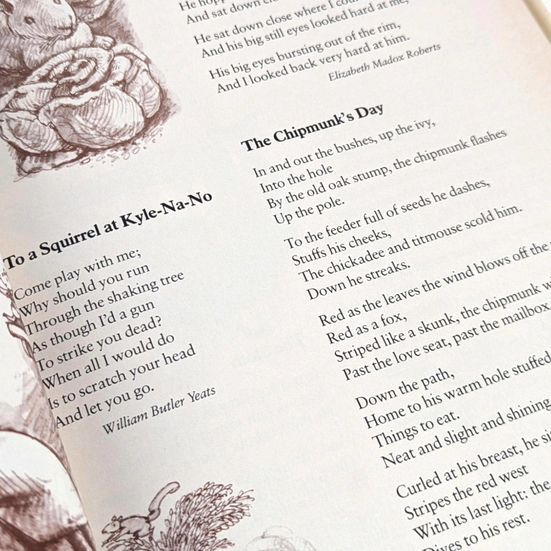 Vintage 1983 Children's Poetry Book: Random House, Illustrated by Arnold Lobel