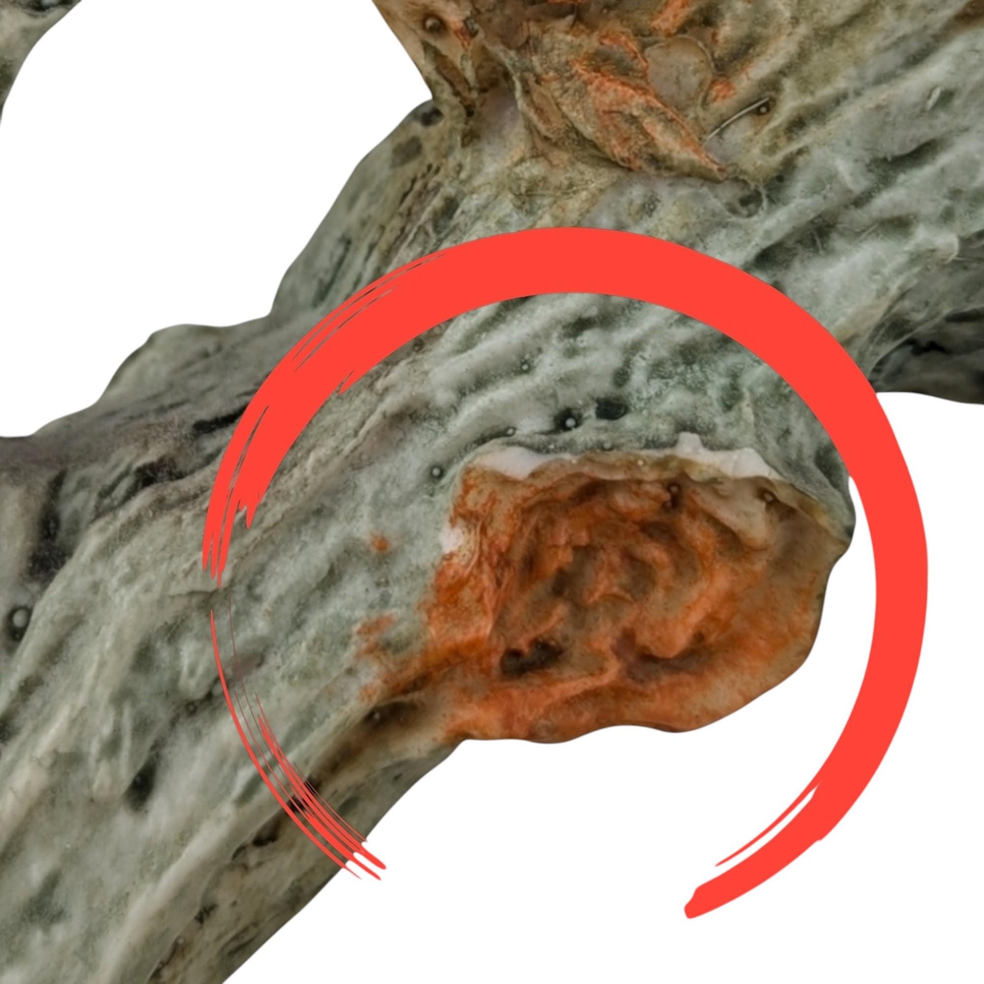 Vintage Children on Swing Figurine: Giuseppe Armani Gulliver's World 14" Resin Statue