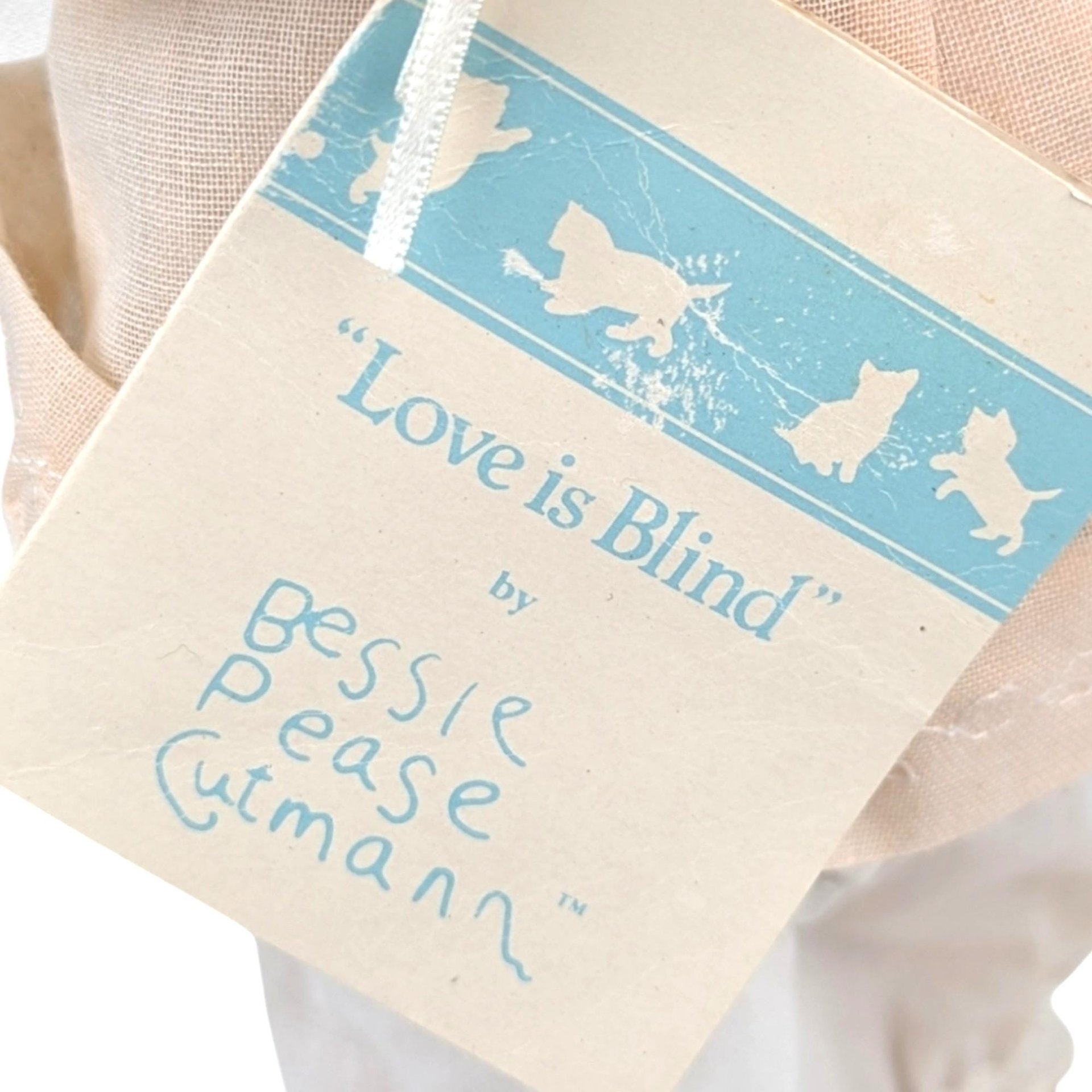 Vintage Hamilton Collection Porcelain Doll: Bessie Pease Gutmann "Love is Blind"