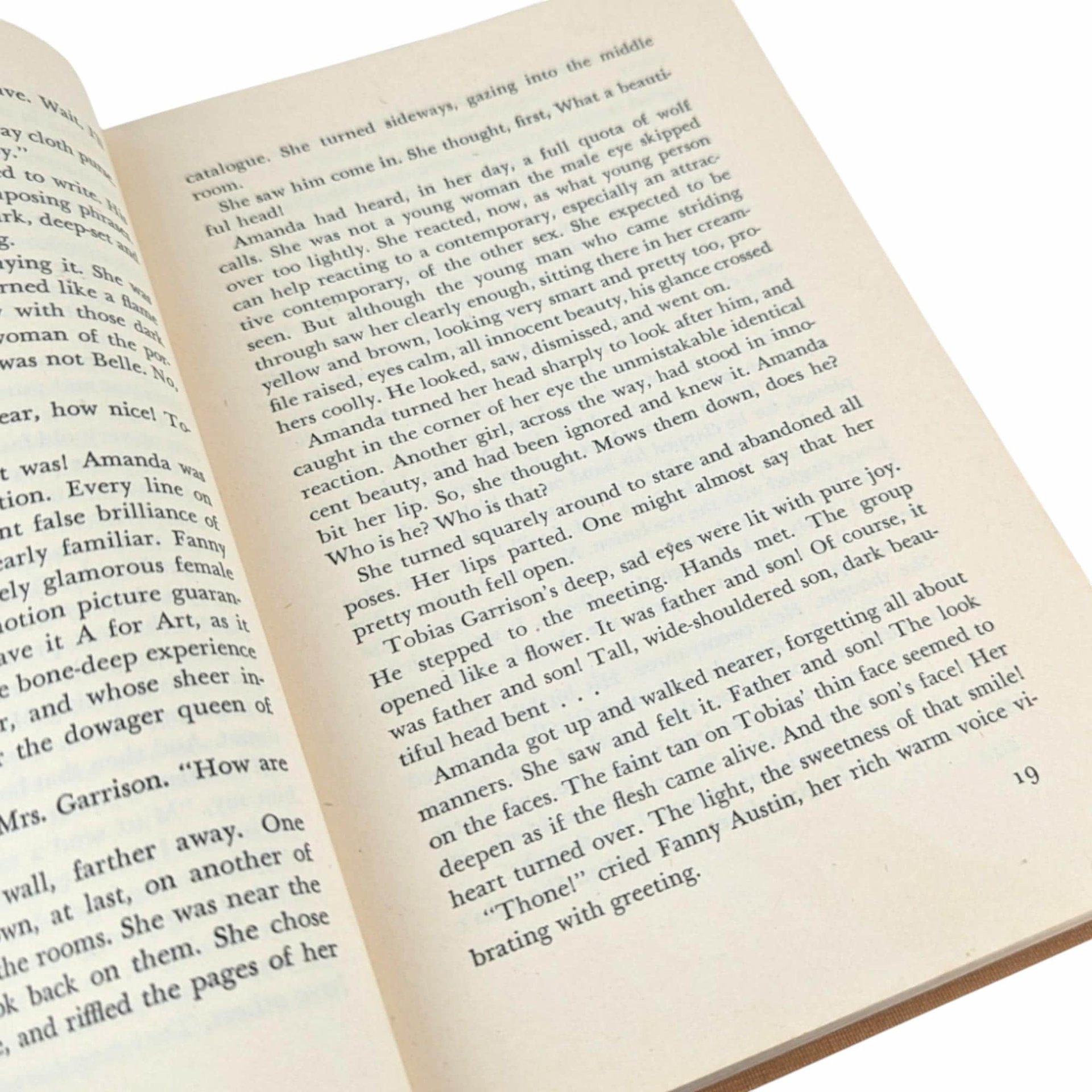 The Chocolate Cobweb: 1948 Vintage Mystery Novel by Charlotte Armstrong