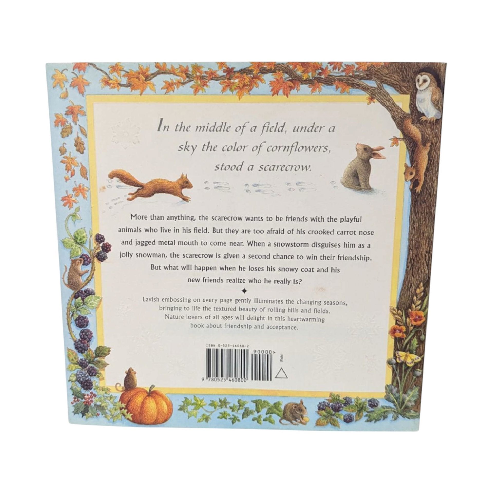 The Lonely Scarecrow: Illustrated Children's Autumn Story, 1999 Hardcover