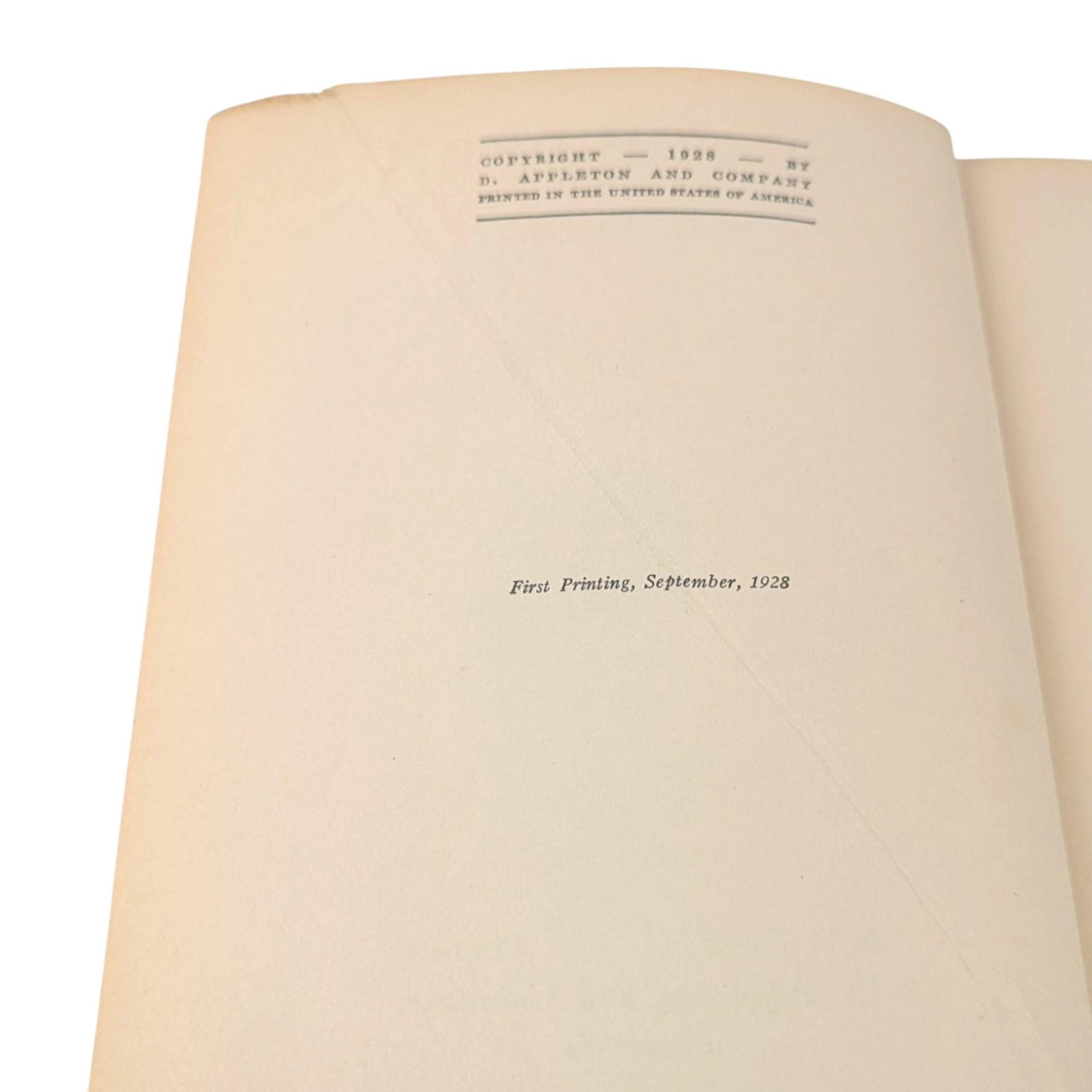 Antique 1928 The Children Novel: Edith Wharton First Printing Hardcover