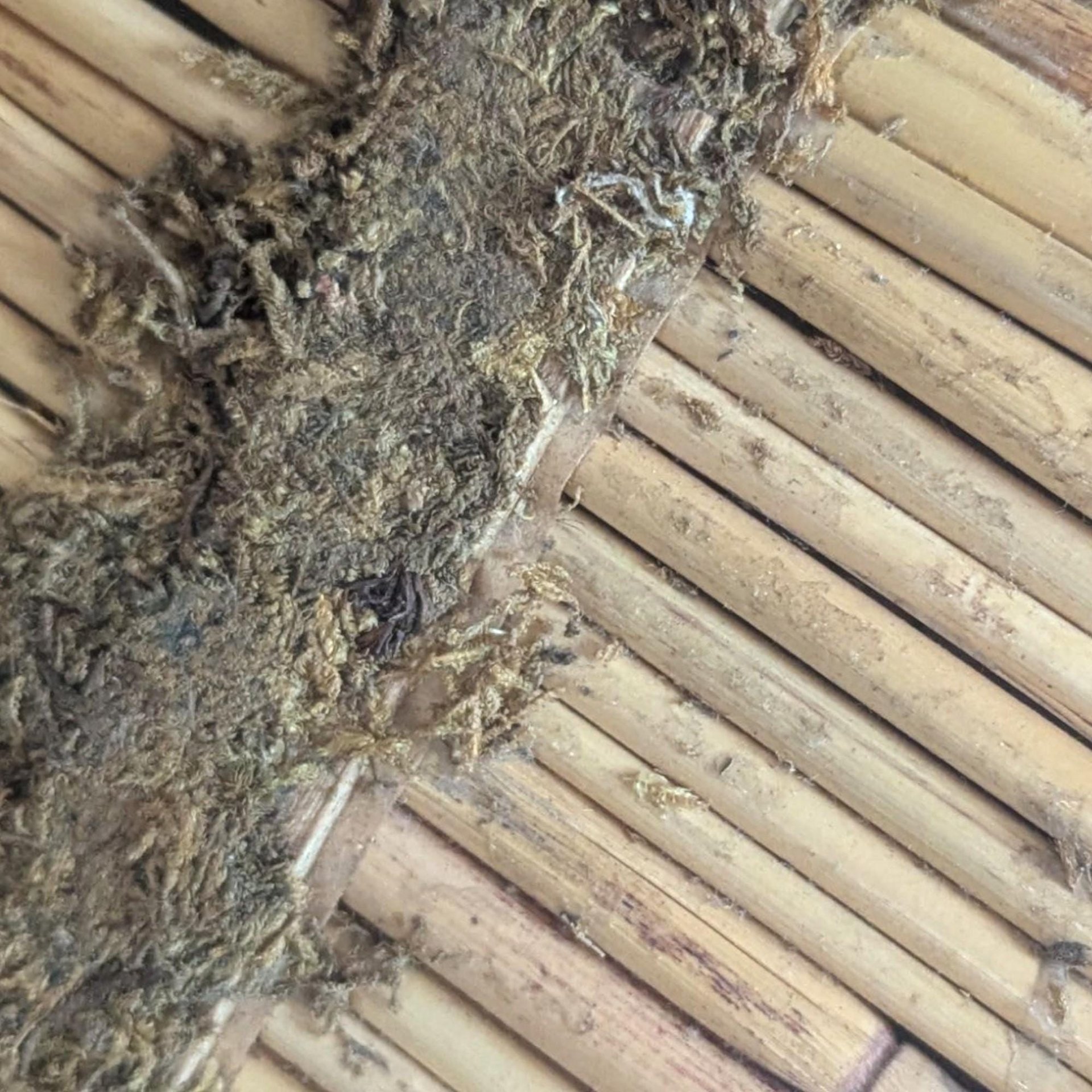 Vintage Wooden Nativity Set: Sears Collectible Christmas Decor