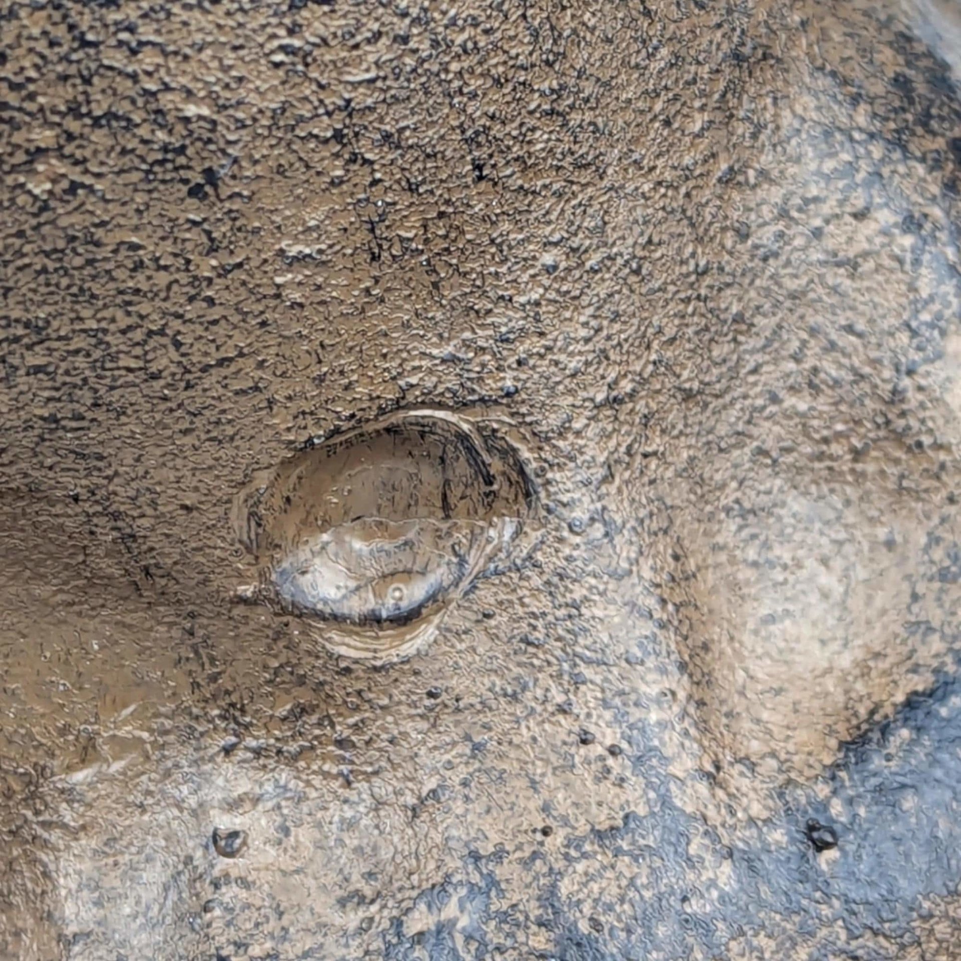 Vintage Cast Iron Rearing Horse Statue: Equestrian Farmhouse Decor