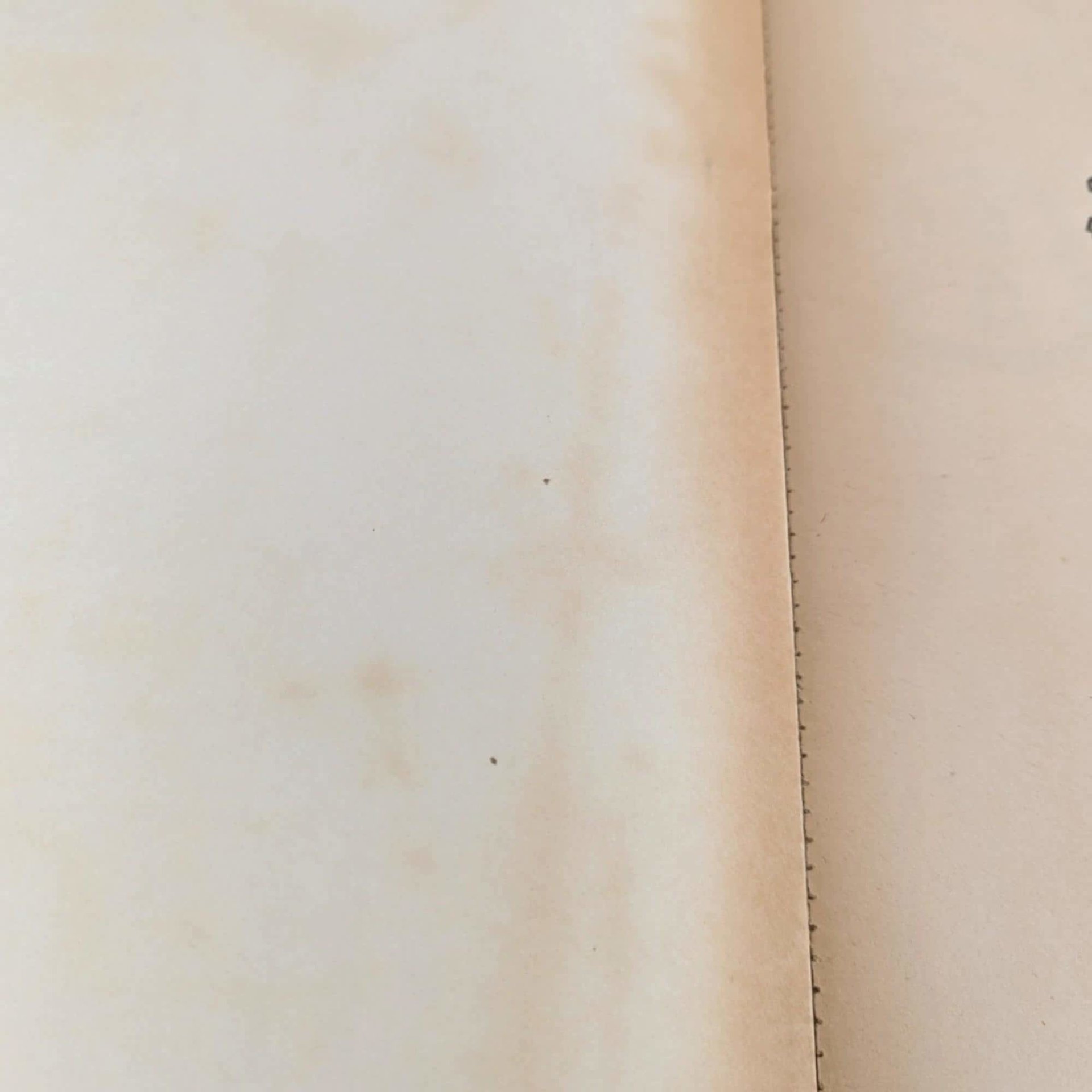 Vintage 1976 Ripley's Believe It Or Not! Book: Illustrated Oddities & Wonders