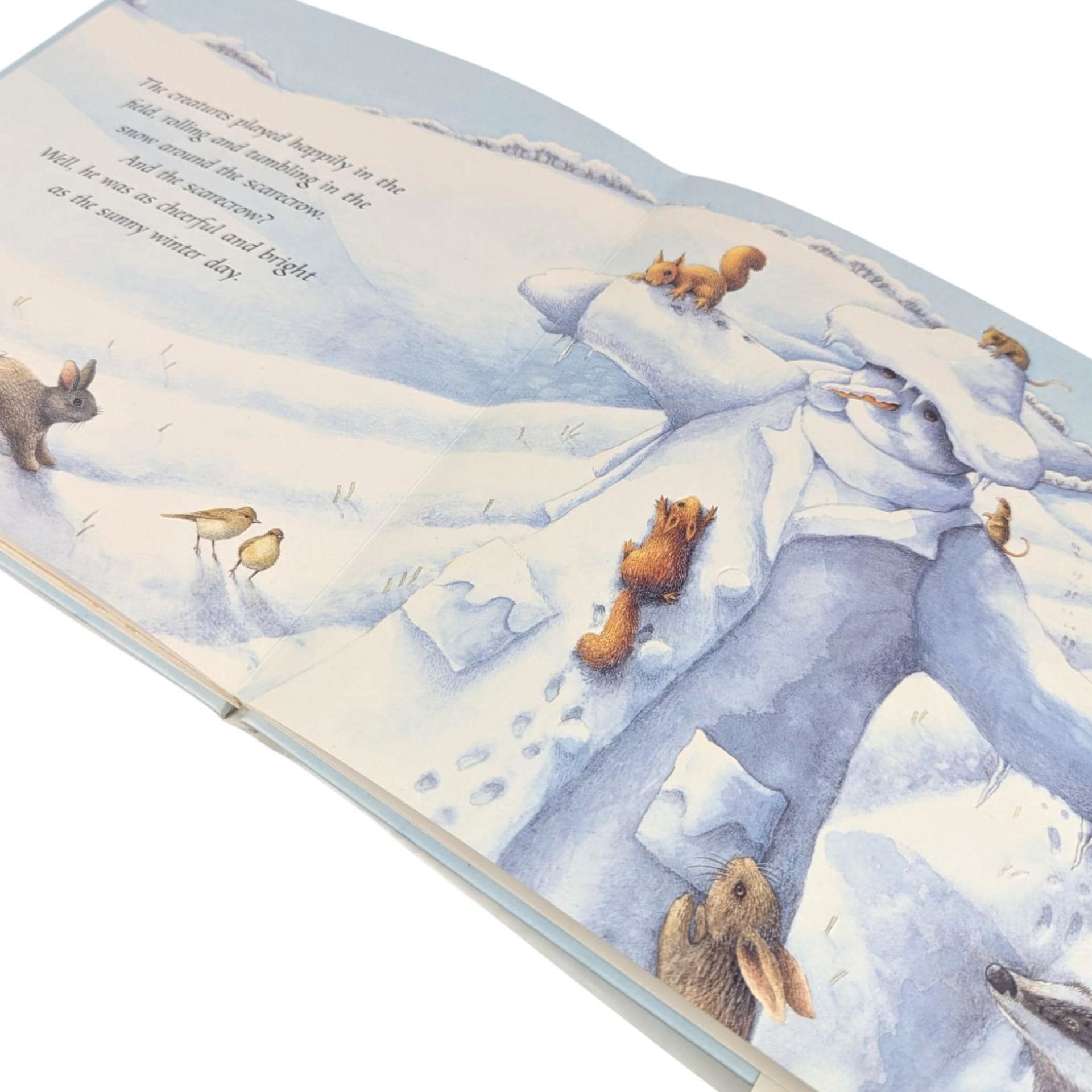 The Lonely Scarecrow: Illustrated Children's Autumn Story, 1999 Hardcover