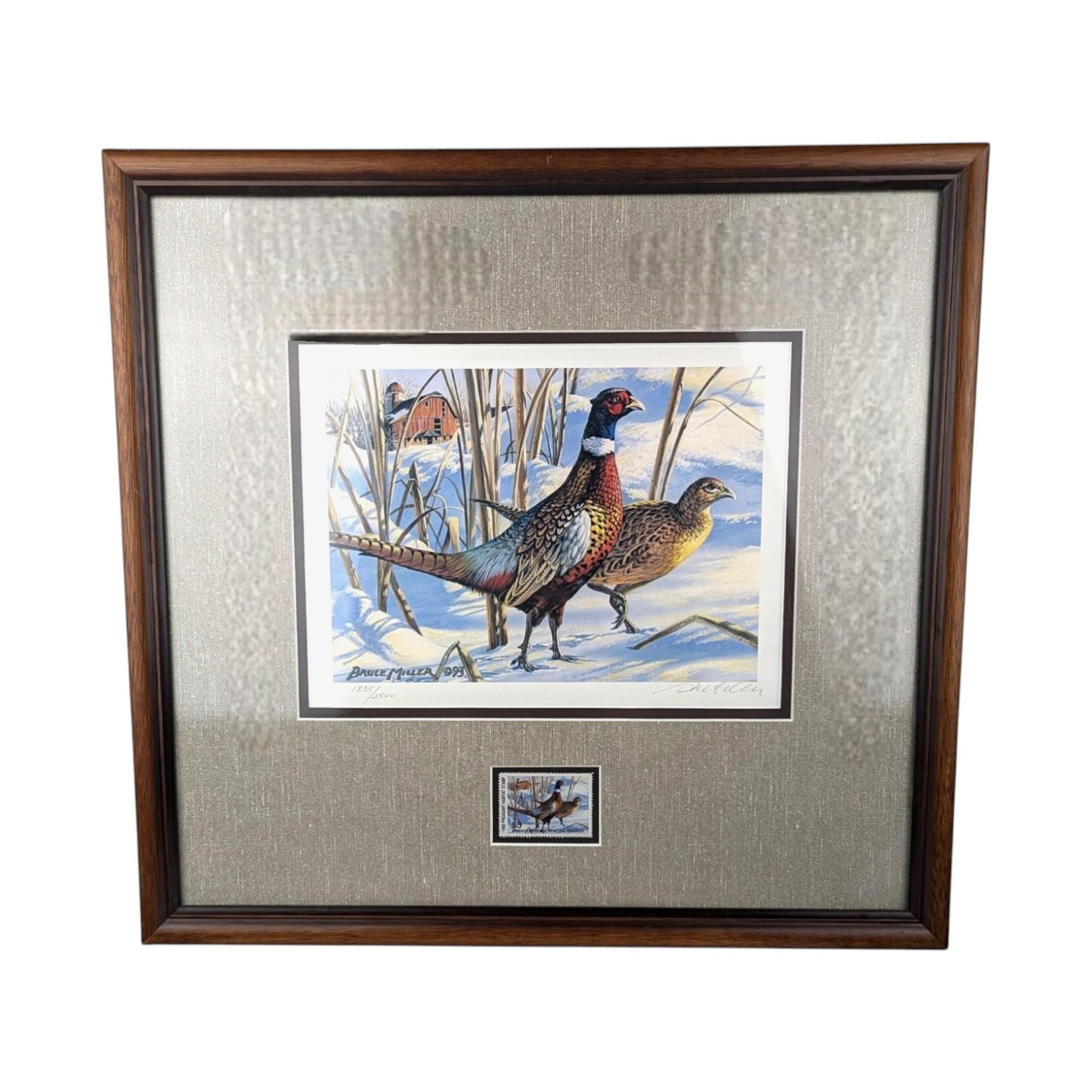 Signed 1993 Pheasant Art Print: Bruce Miller Minnesota Habitat Stamp, Framed Wildlife Art