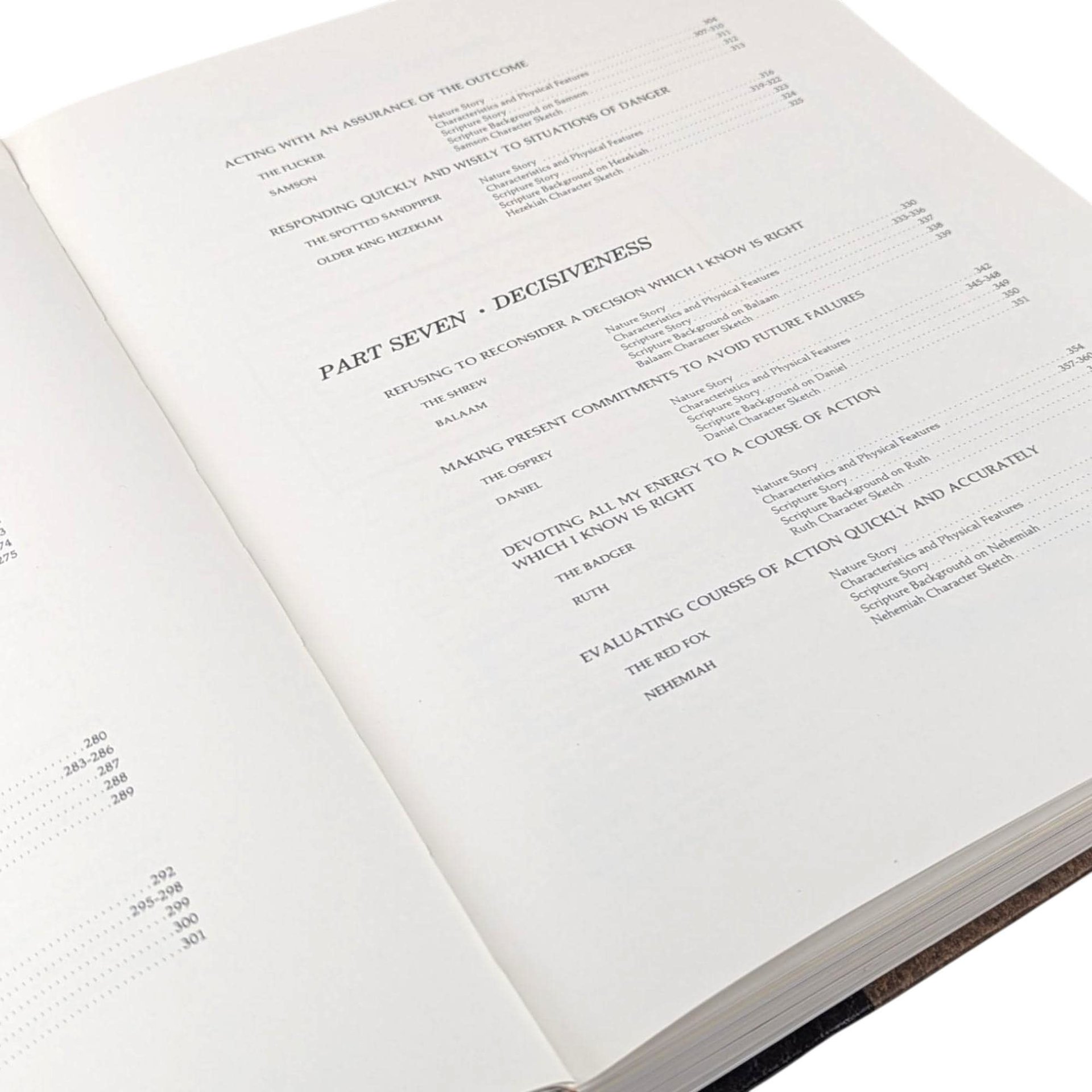 Vintage 1983 Character Sketches From Scripture: Rand McNally Homeschool Resource